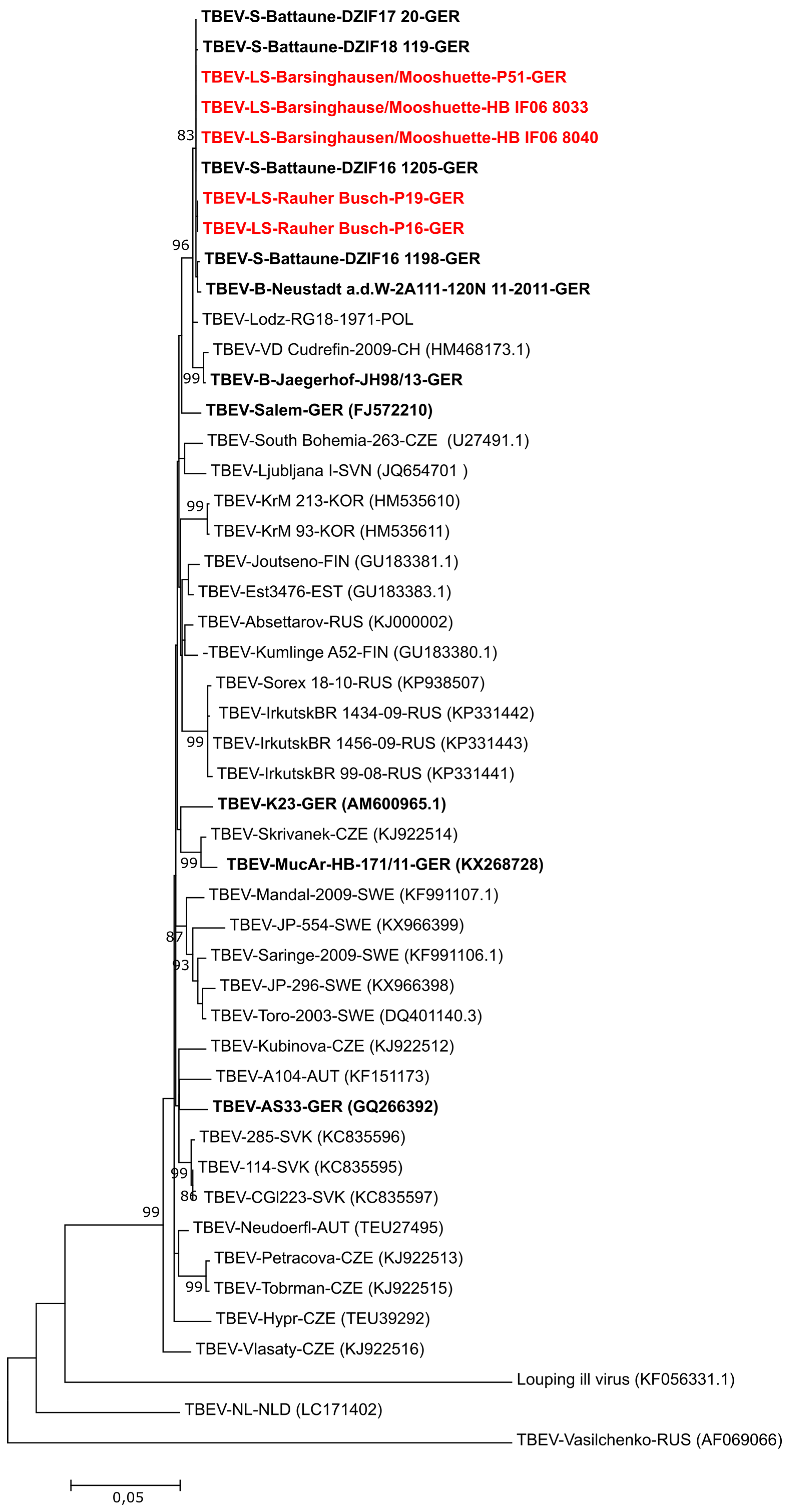 Viruses 11 00462 g002