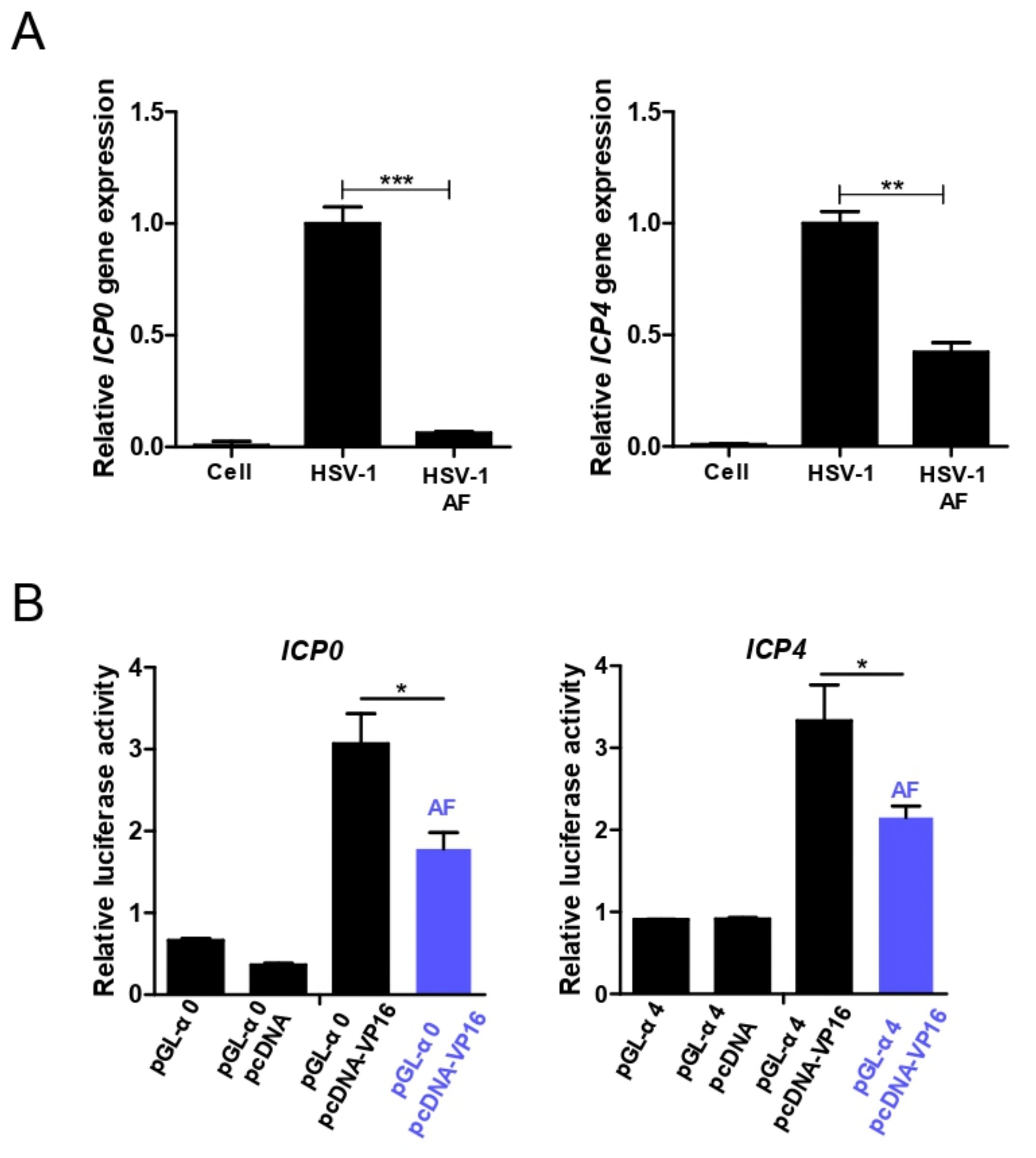 Viruses 11 00466 g008 550