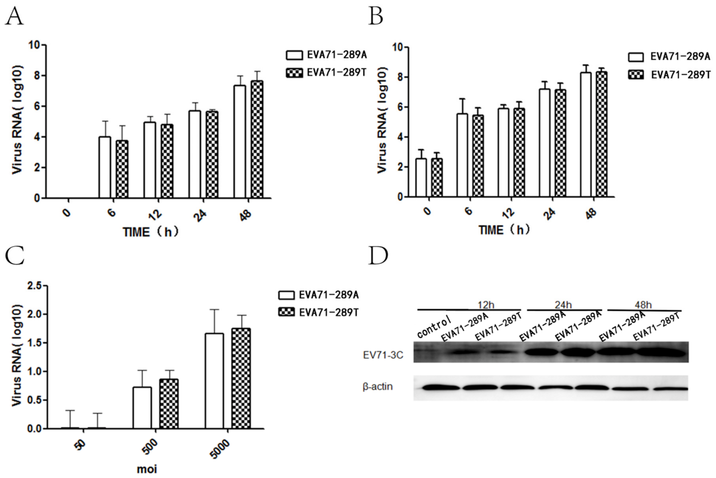 Viruses 11 00467 g001