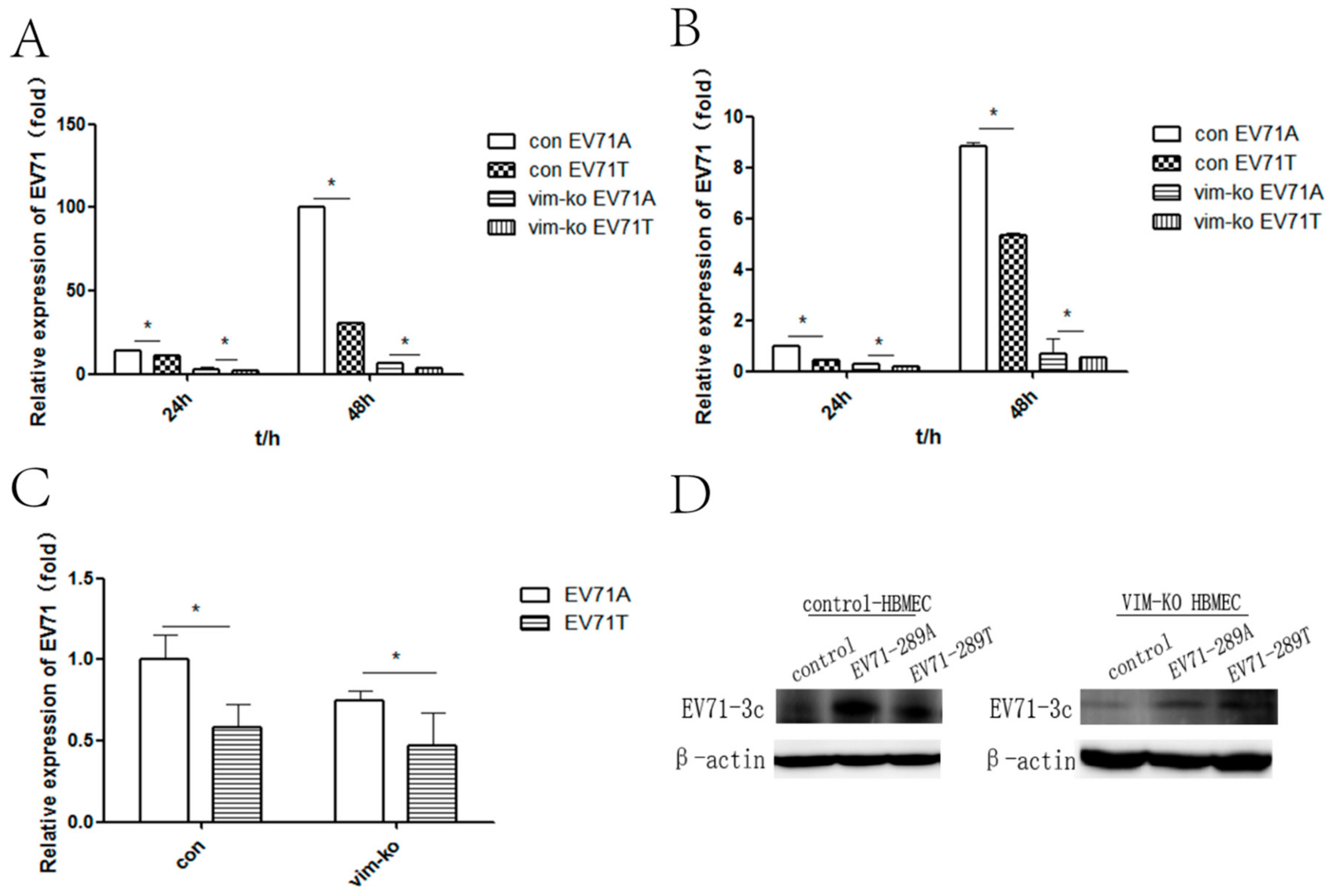 Viruses 11 00467 g002