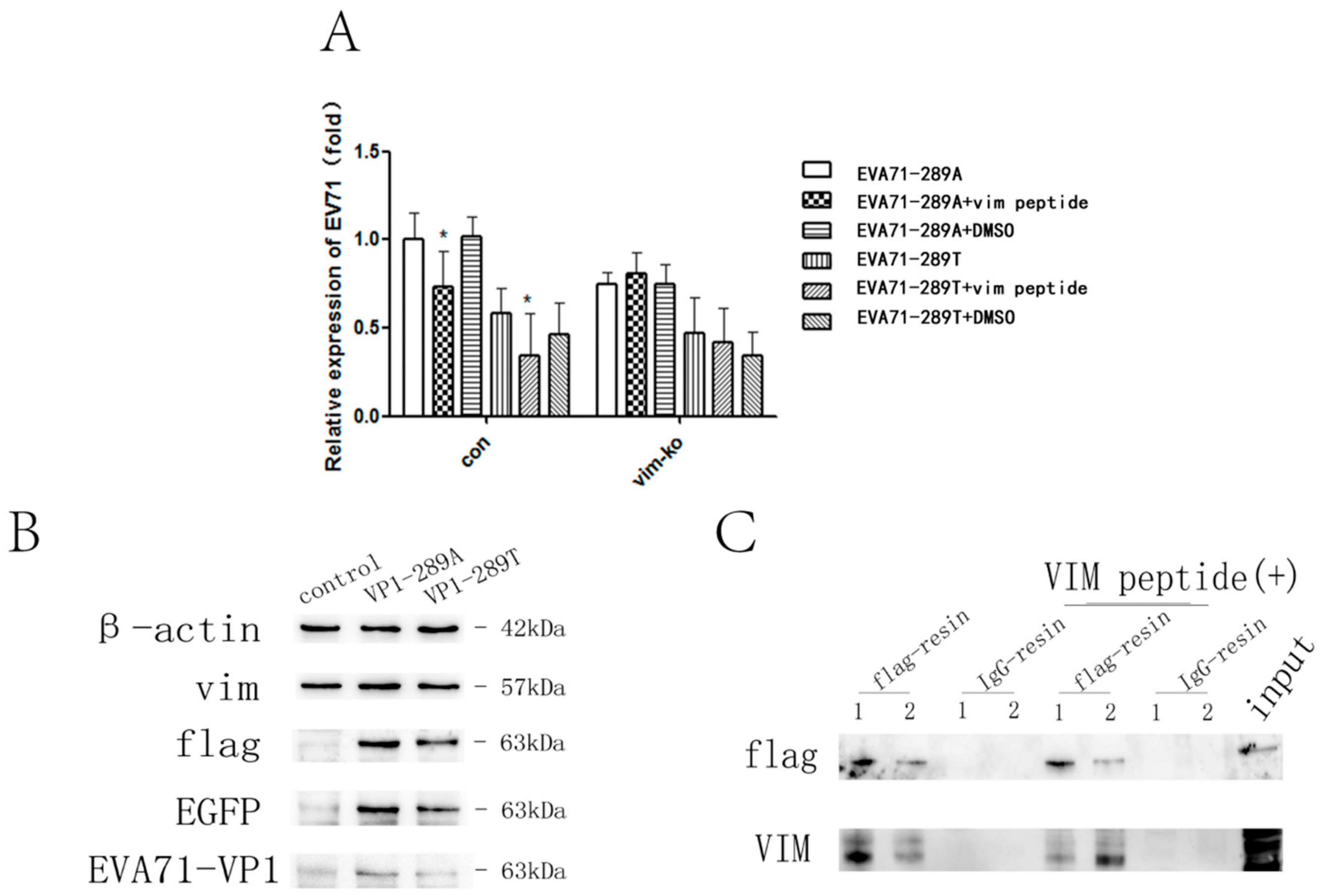 Viruses 11 00467 g003