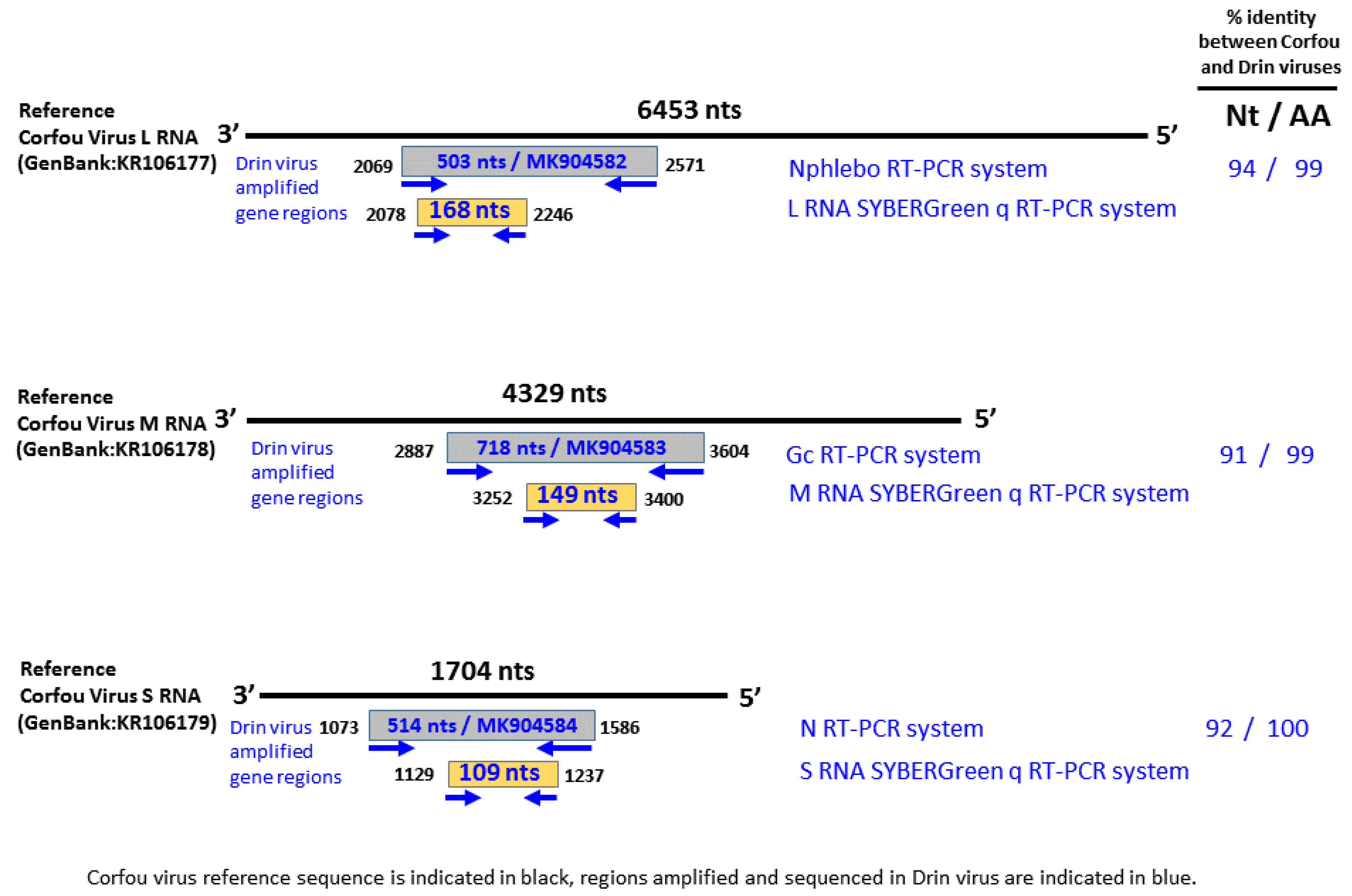 Viruses 11 00469 g002