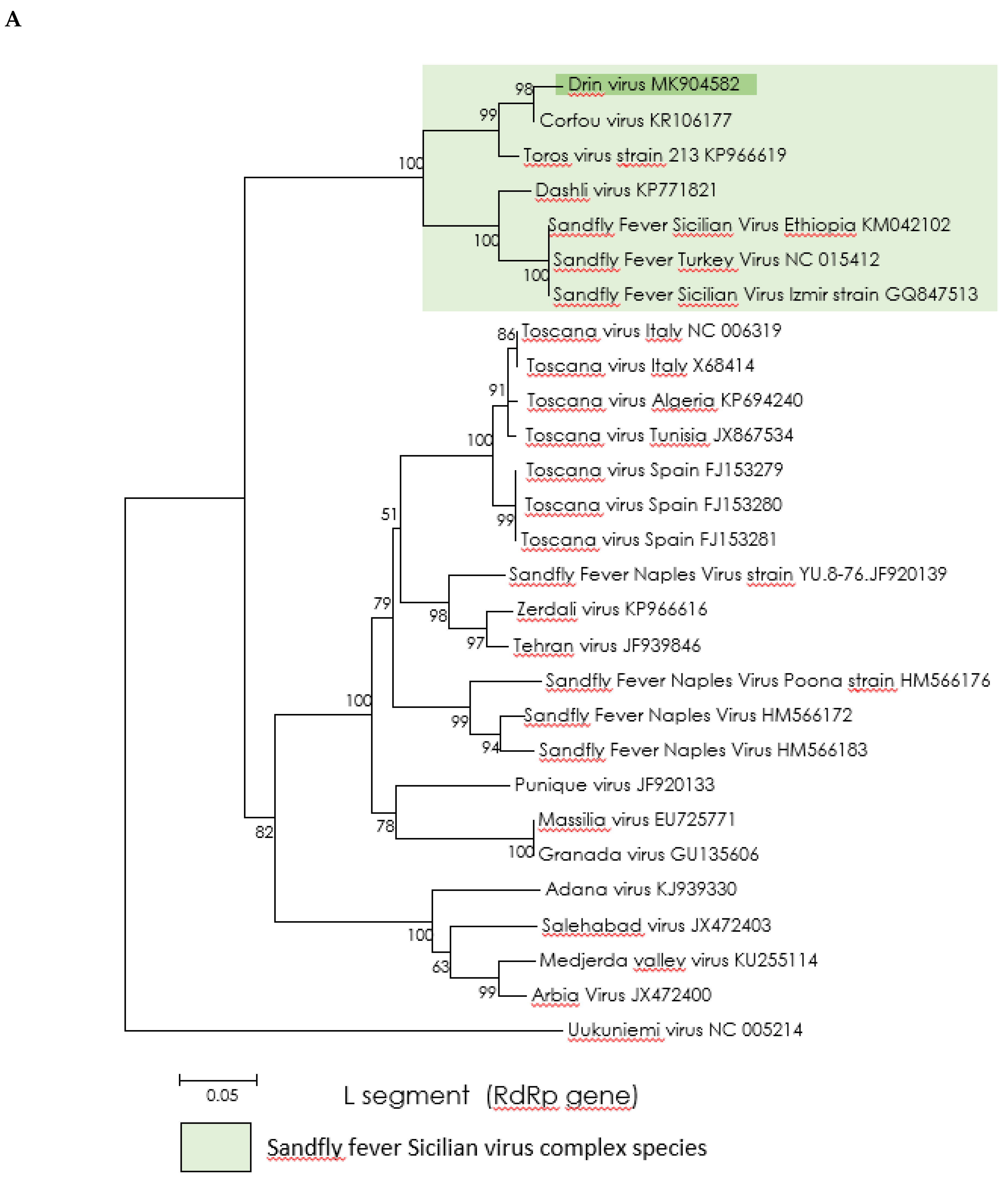 Viruses 11 00469 g003a