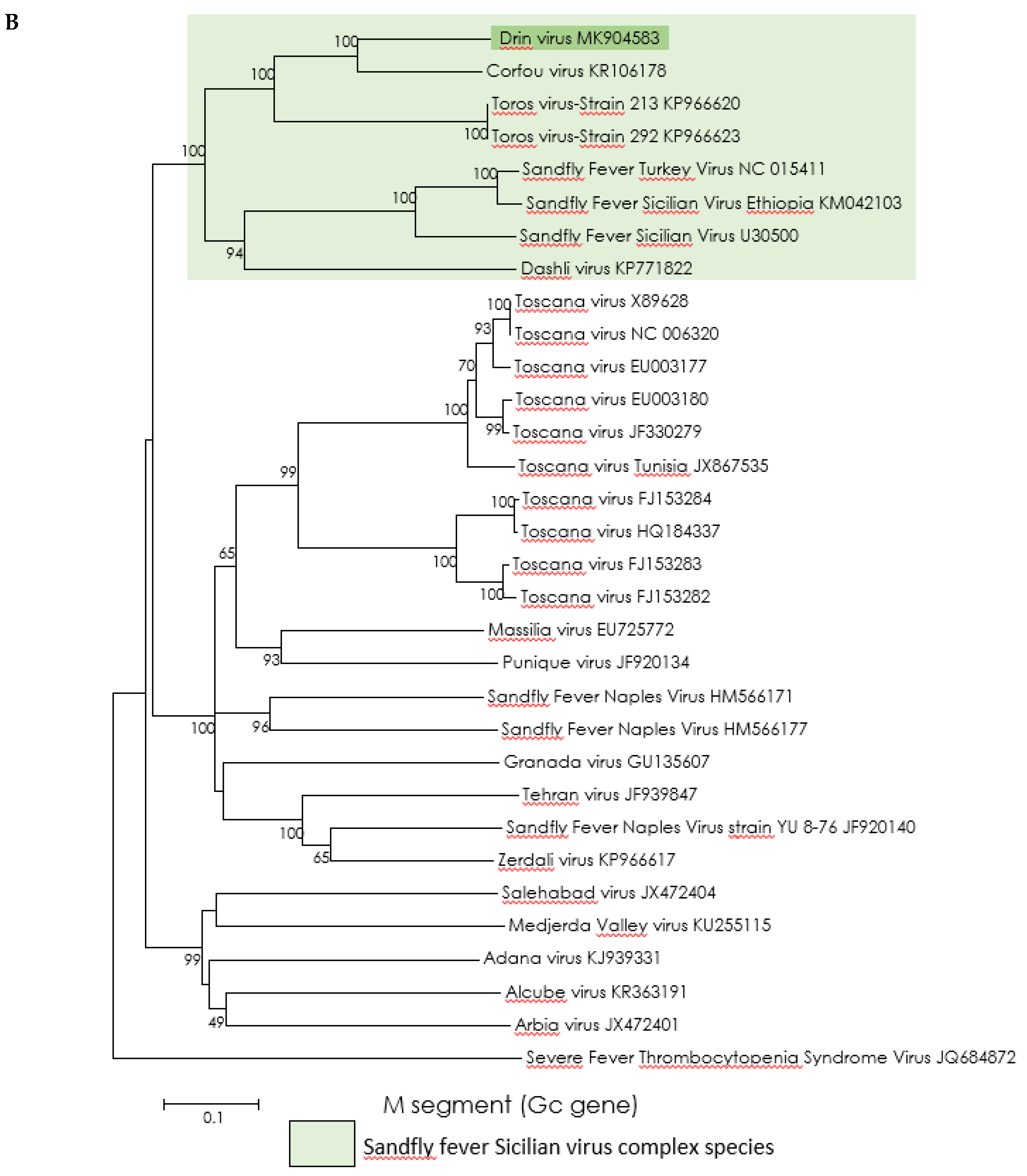 Viruses 11 00469 g003b