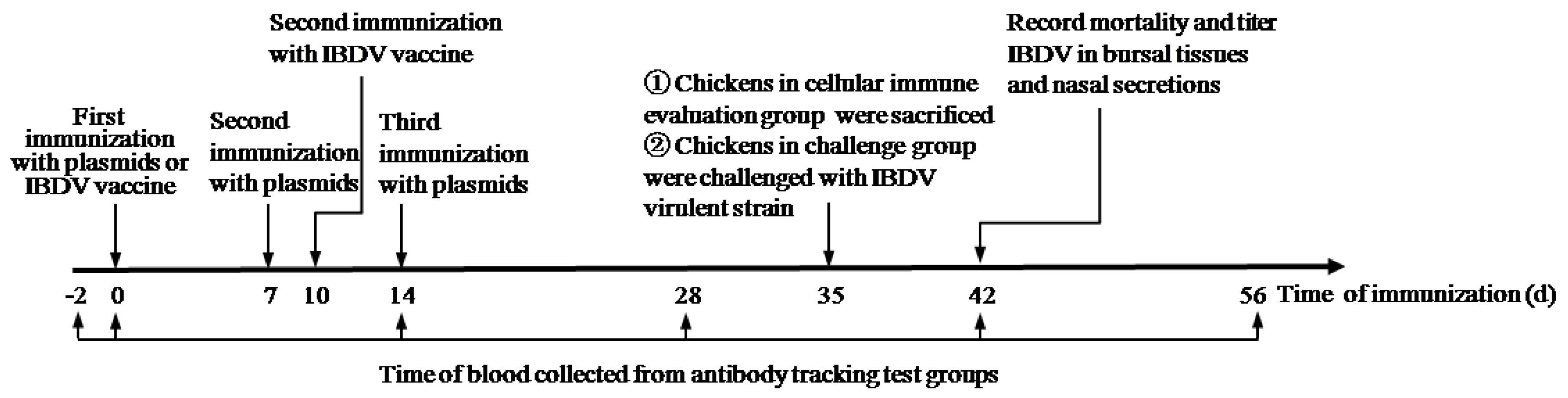 Viruses 11 00476 g001