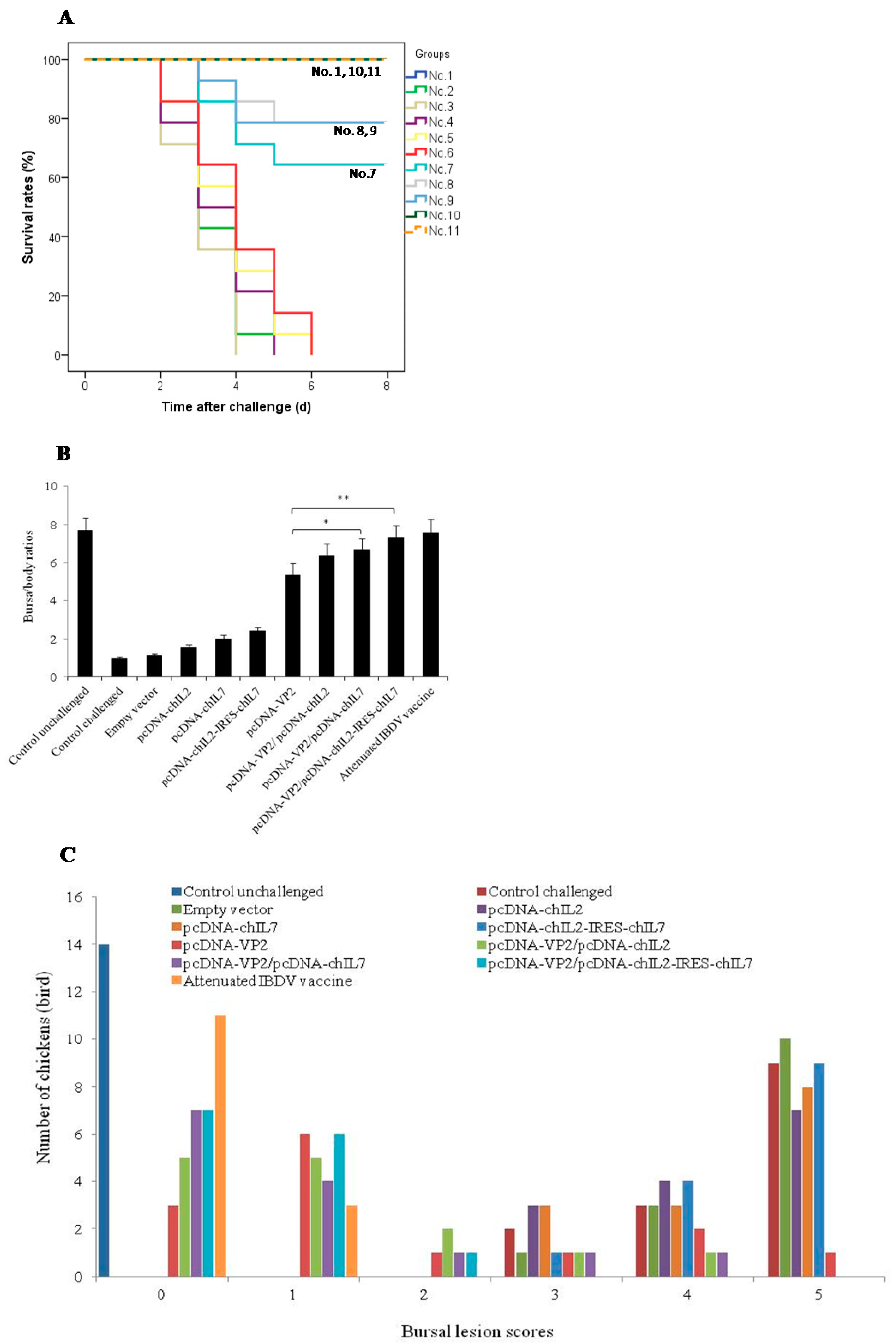 Viruses 11 00476 g006a
