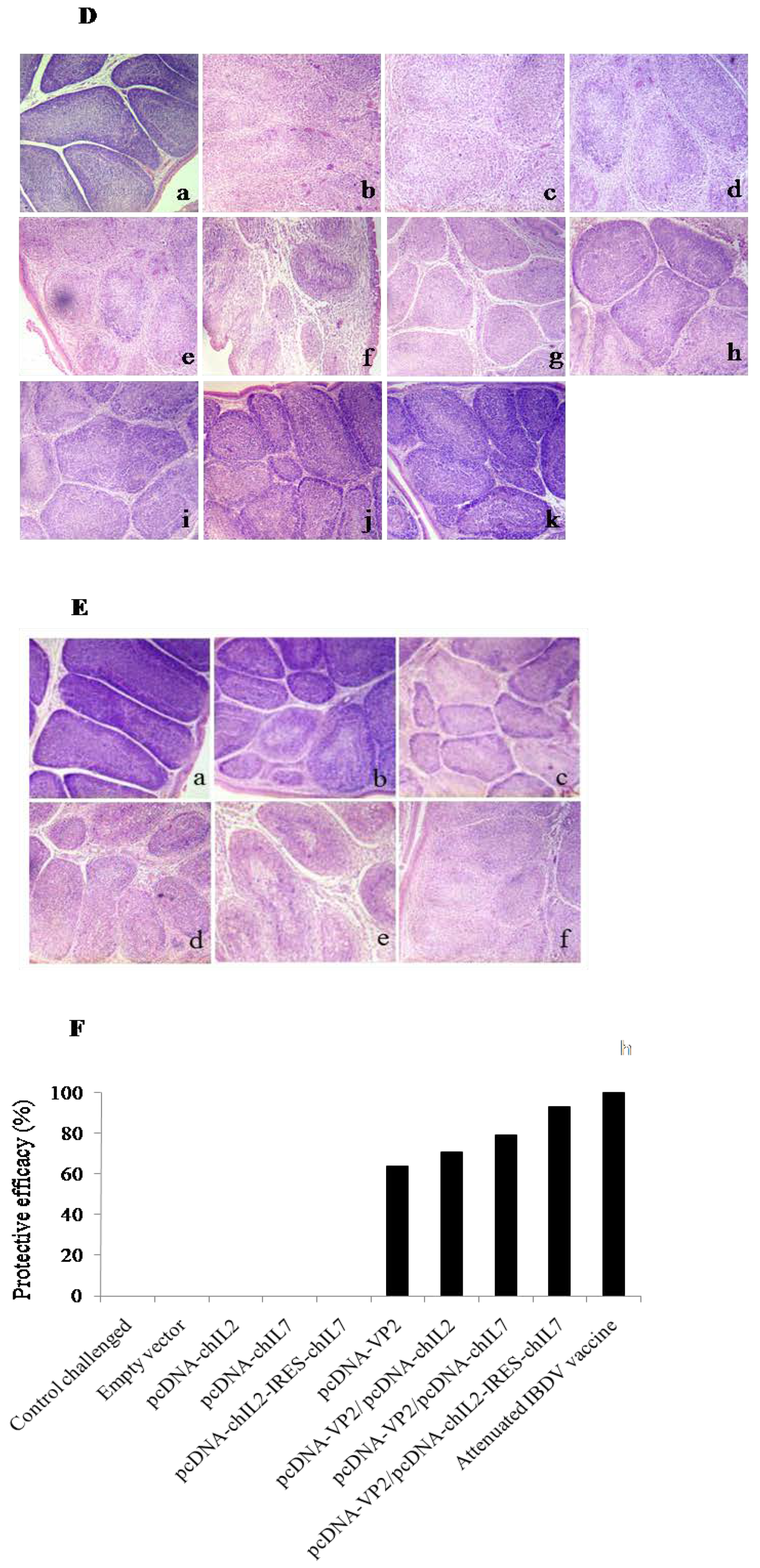 Viruses 11 00476 g006b
