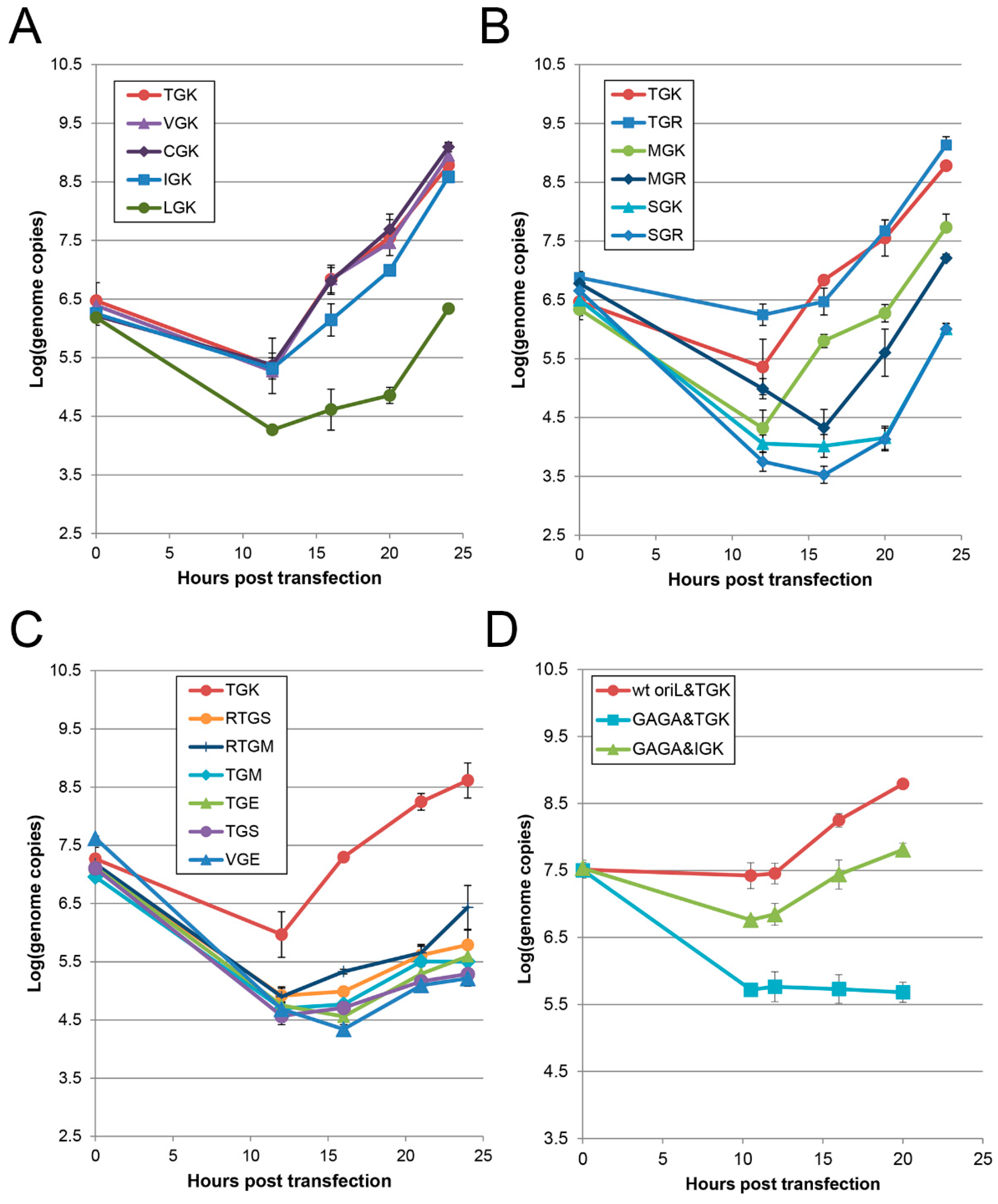 Viruses 11 00479 g006