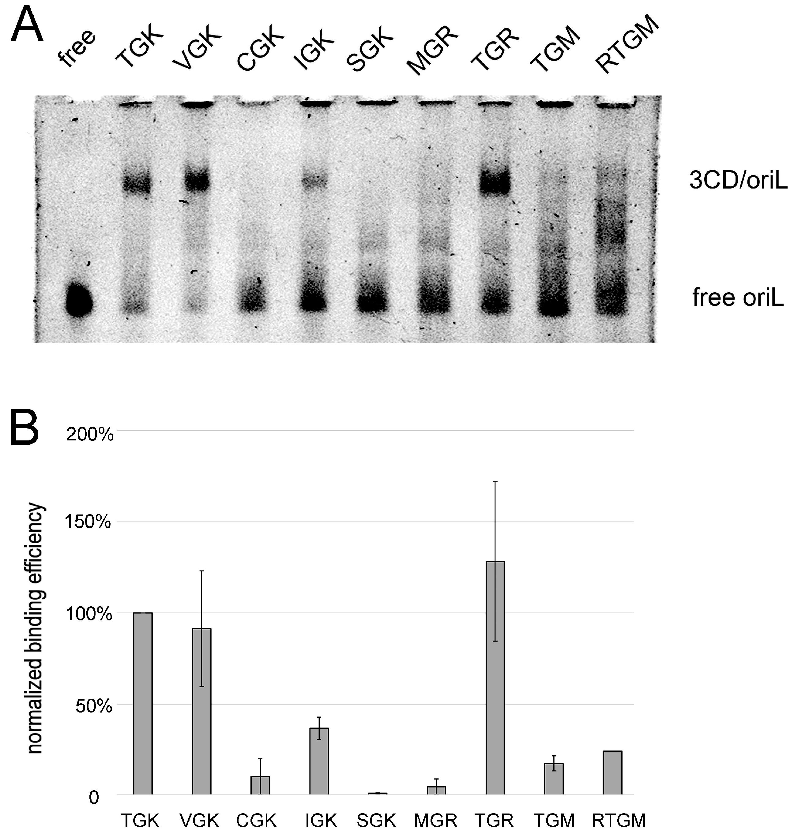 Viruses 11 00479 g007