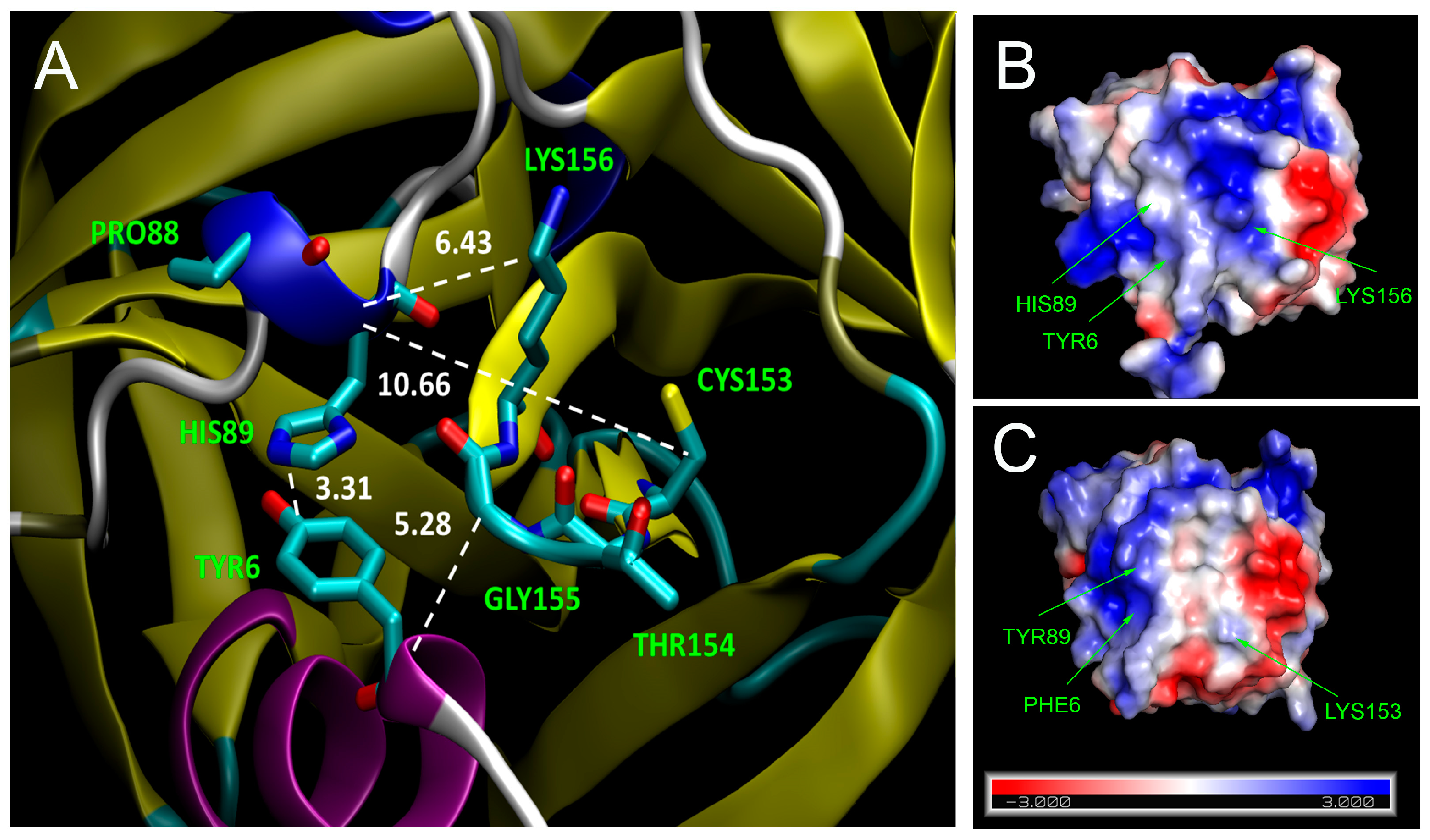 Viruses 11 00479 g009