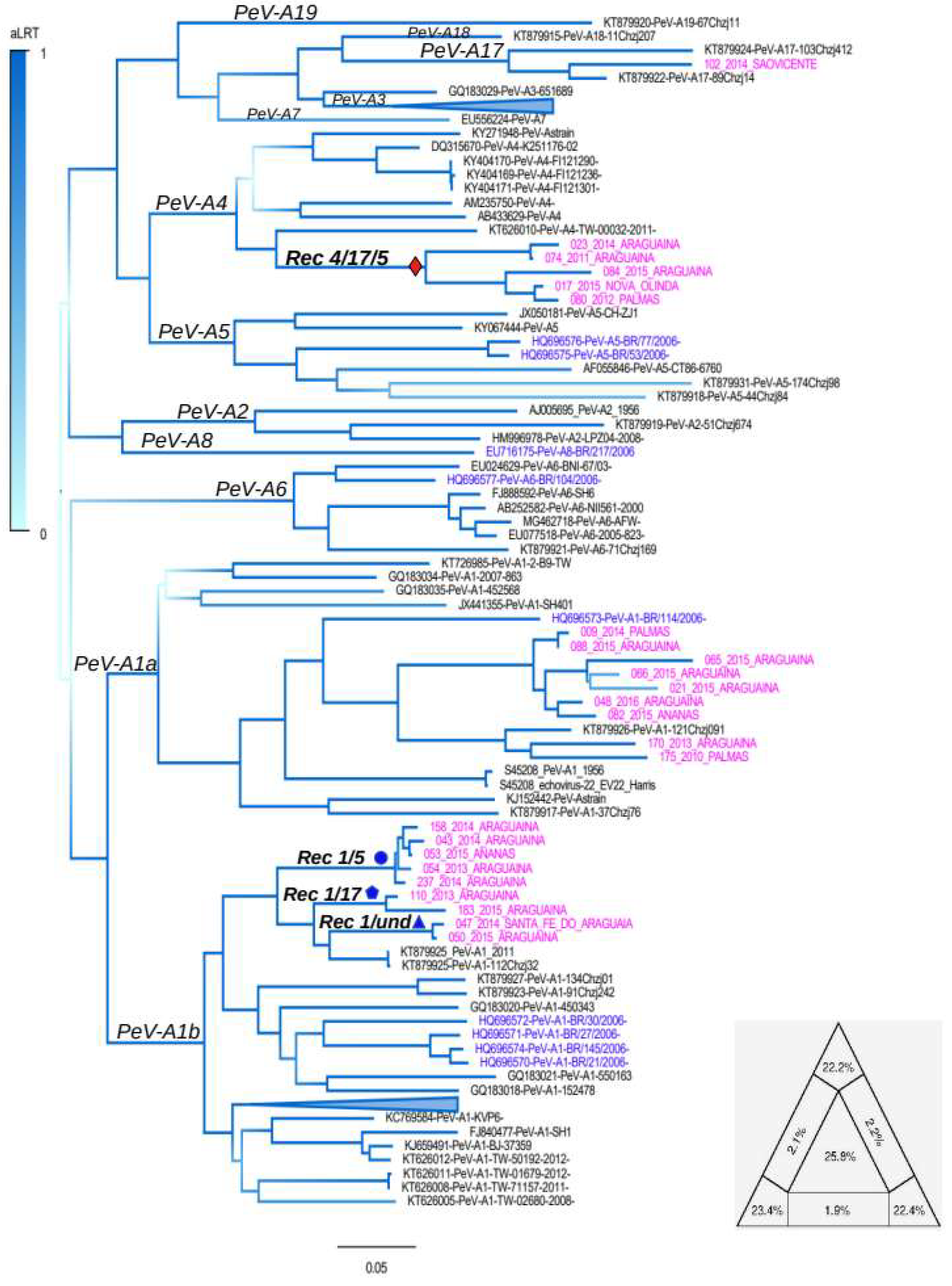 Viruses 11 00488 g002