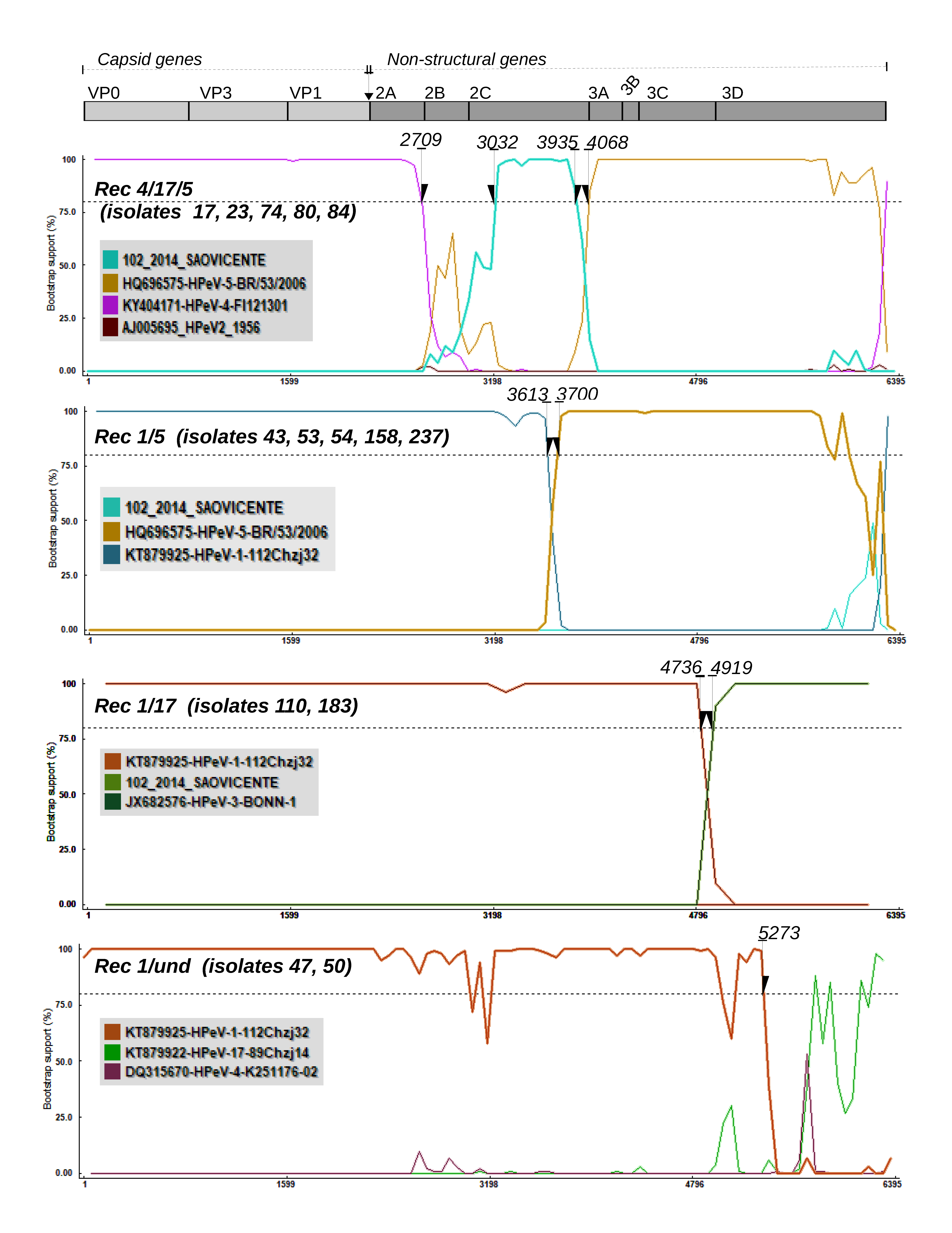 Viruses 11 00488 g003
