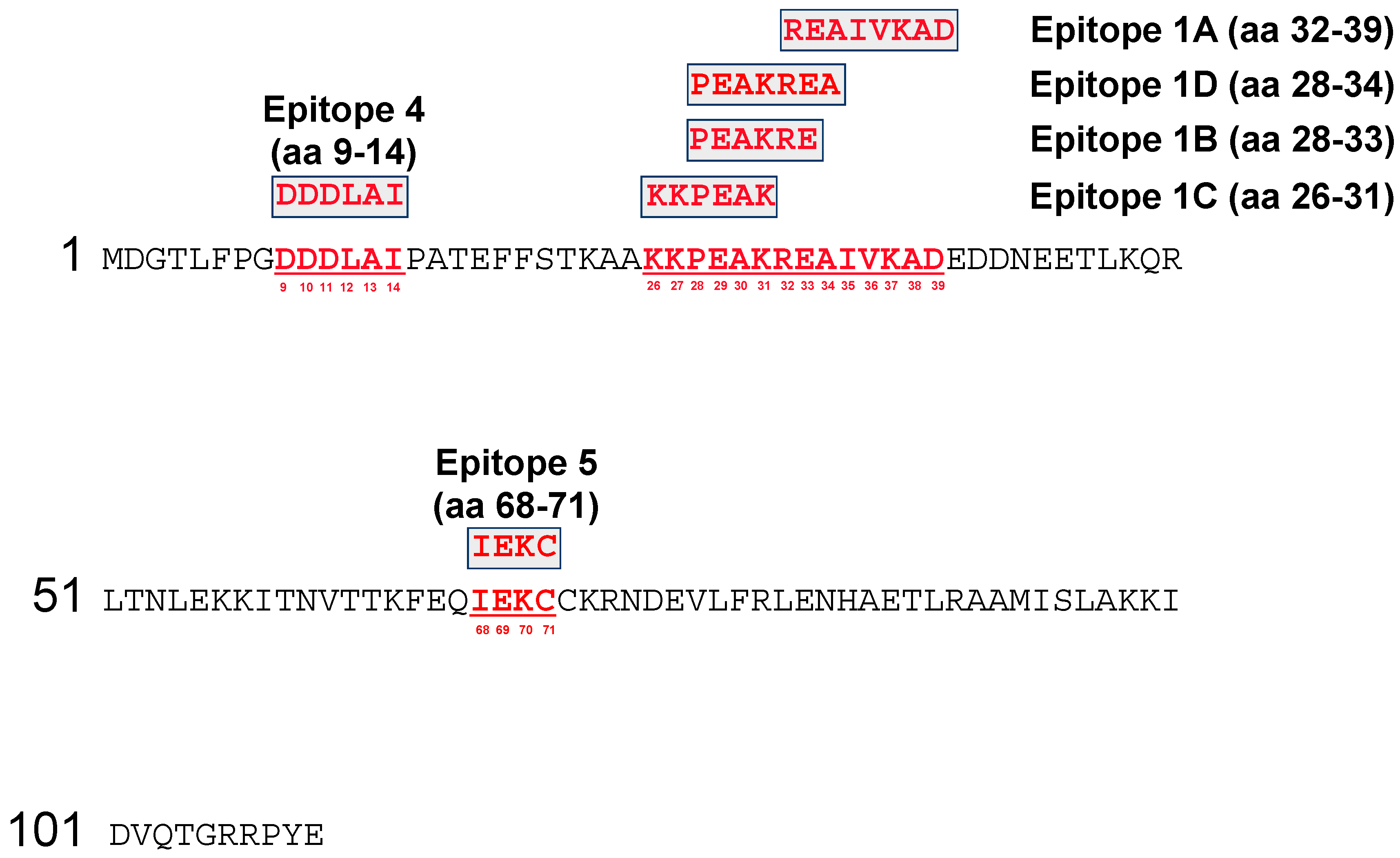 Viruses 11 00493 g001 Viruses 11 00493 g001