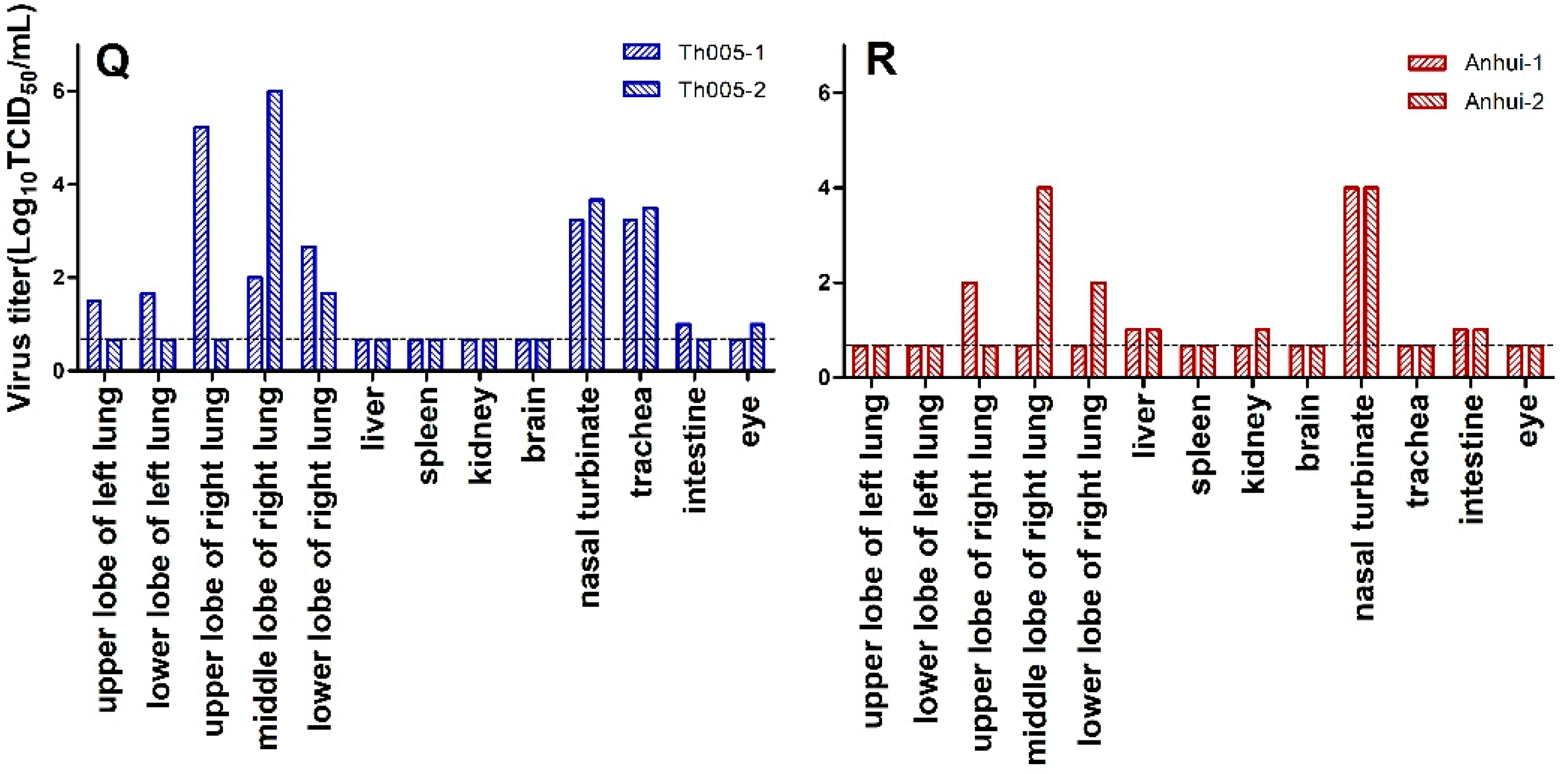 Viruses 11 00494 g001b Viruses 11 00494 g001b