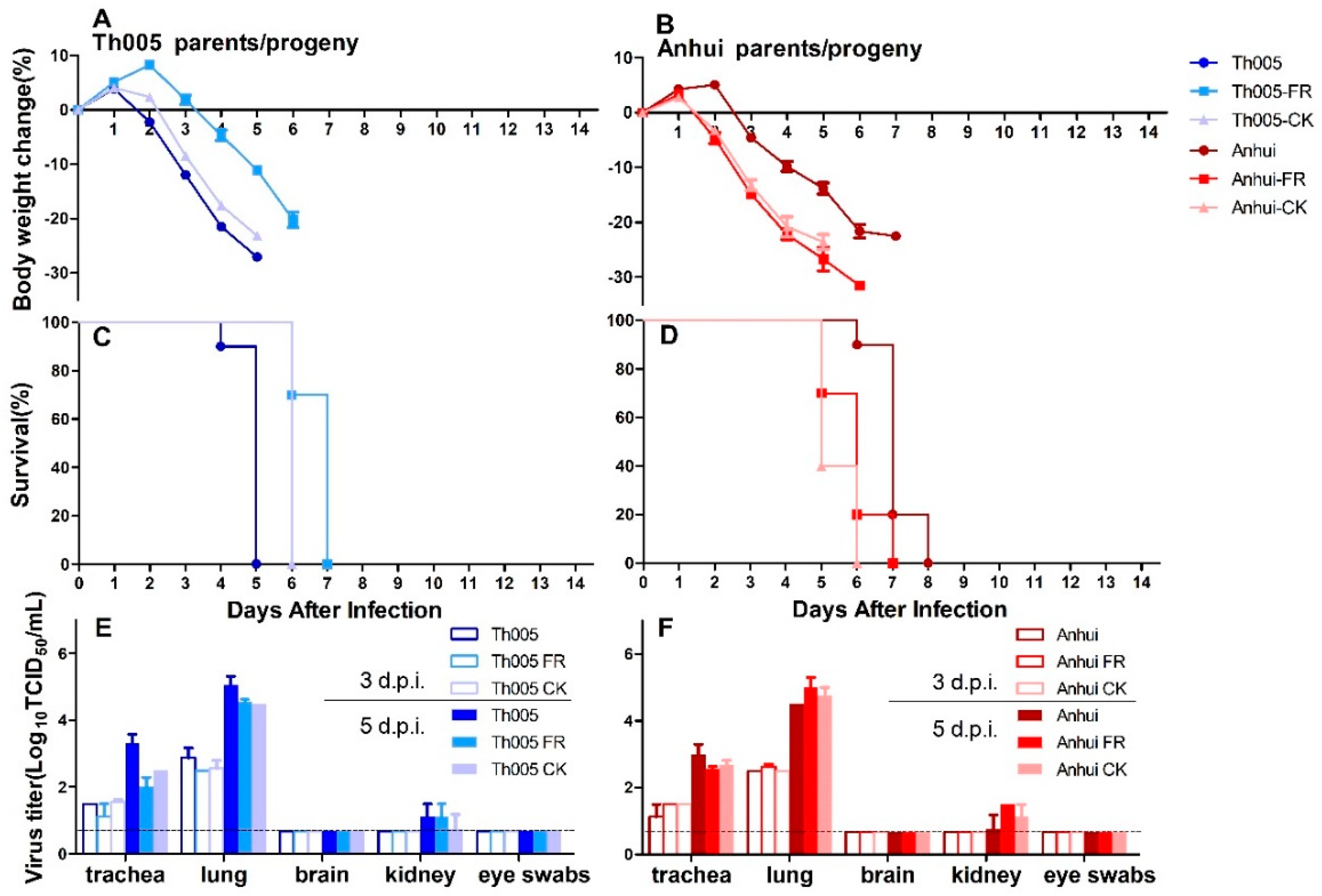 Viruses 11 00494 g004 Viruses 11 00494 g004