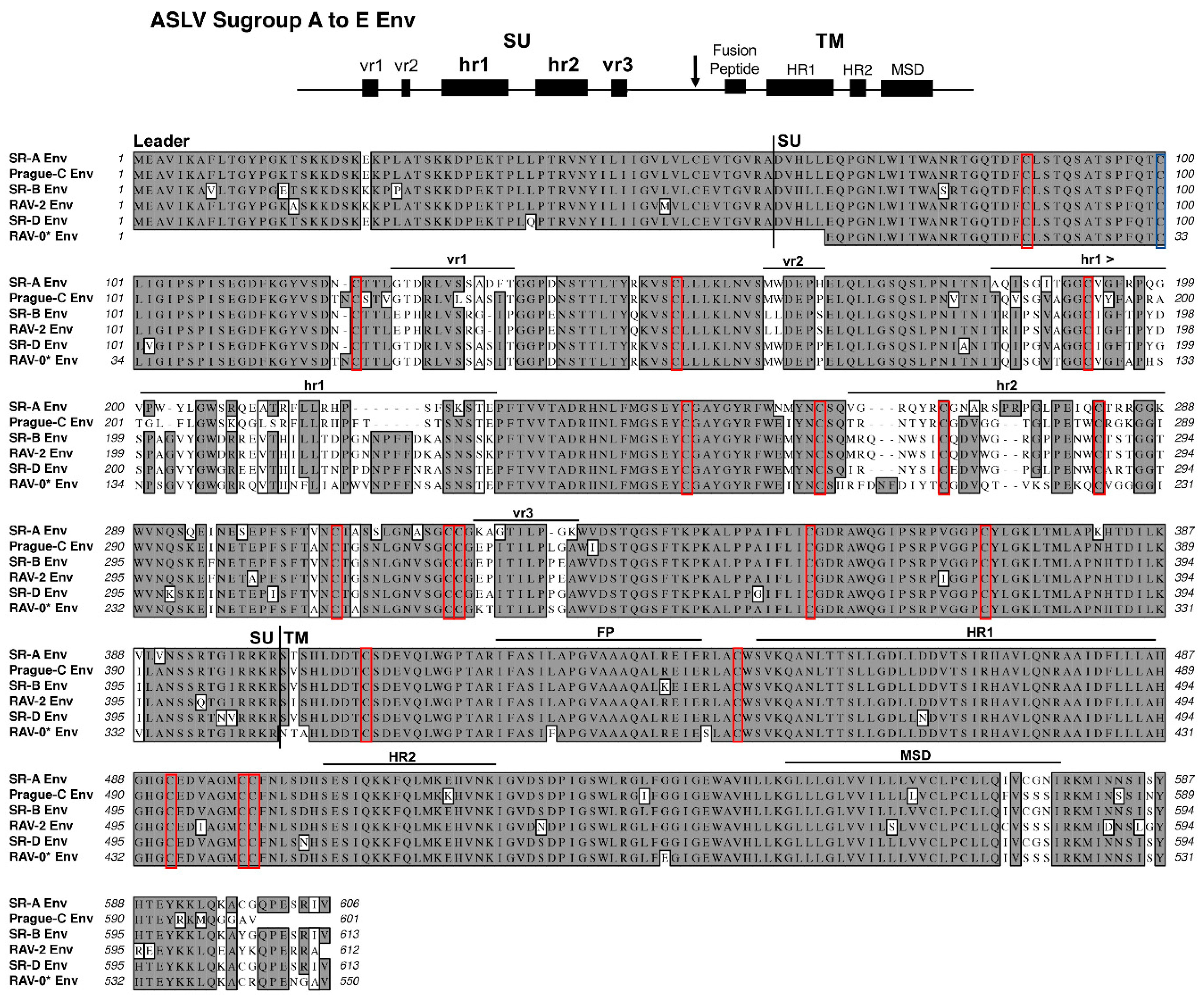 Viruses 11 00497 g002 Viruses 11 00497 g002