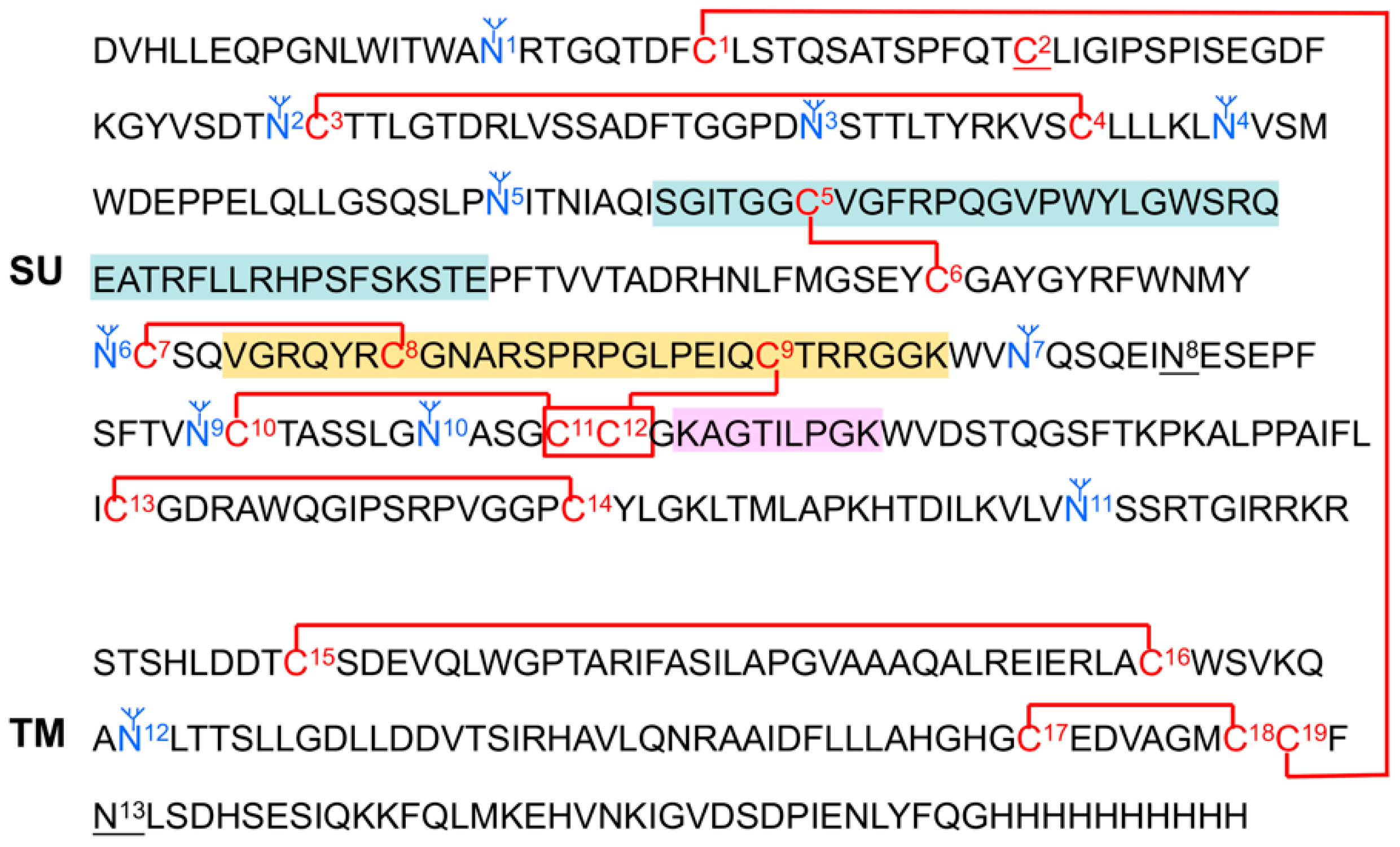 Viruses 11 00497 g003 Viruses 11 00497 g003