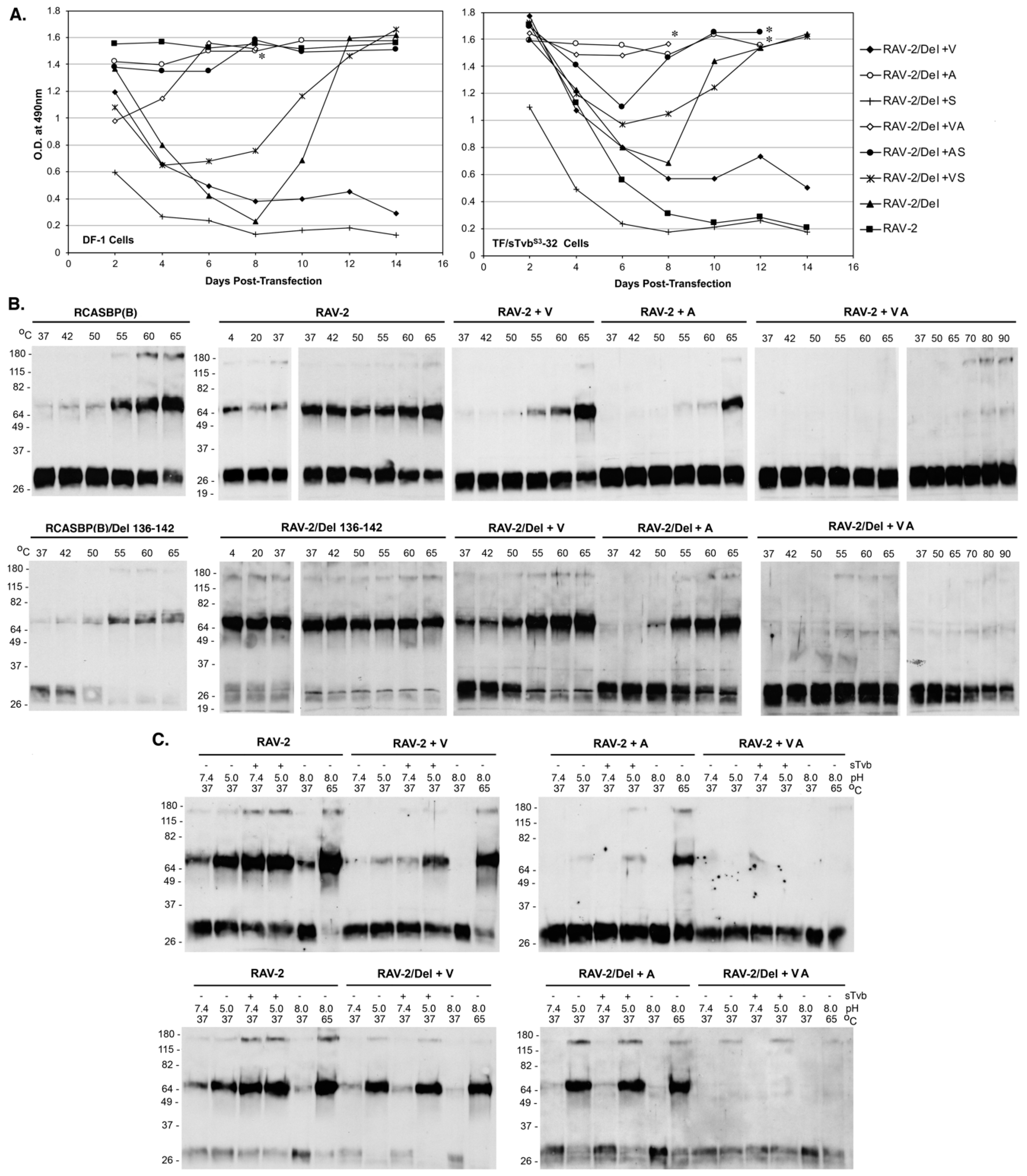 Viruses 11 00500 g008