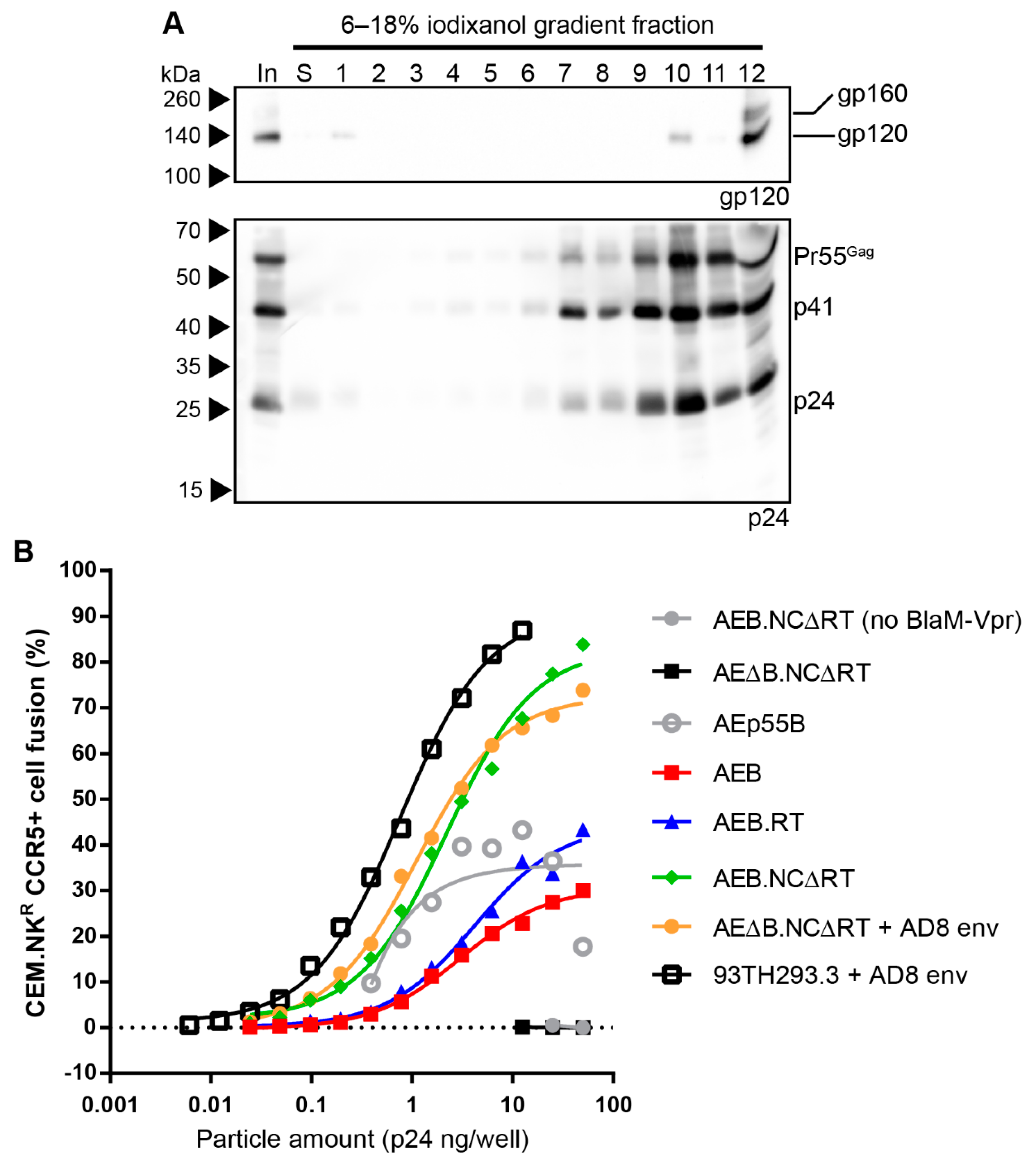 Viruses 11 00507 g008 Viruses 11 00507 g008