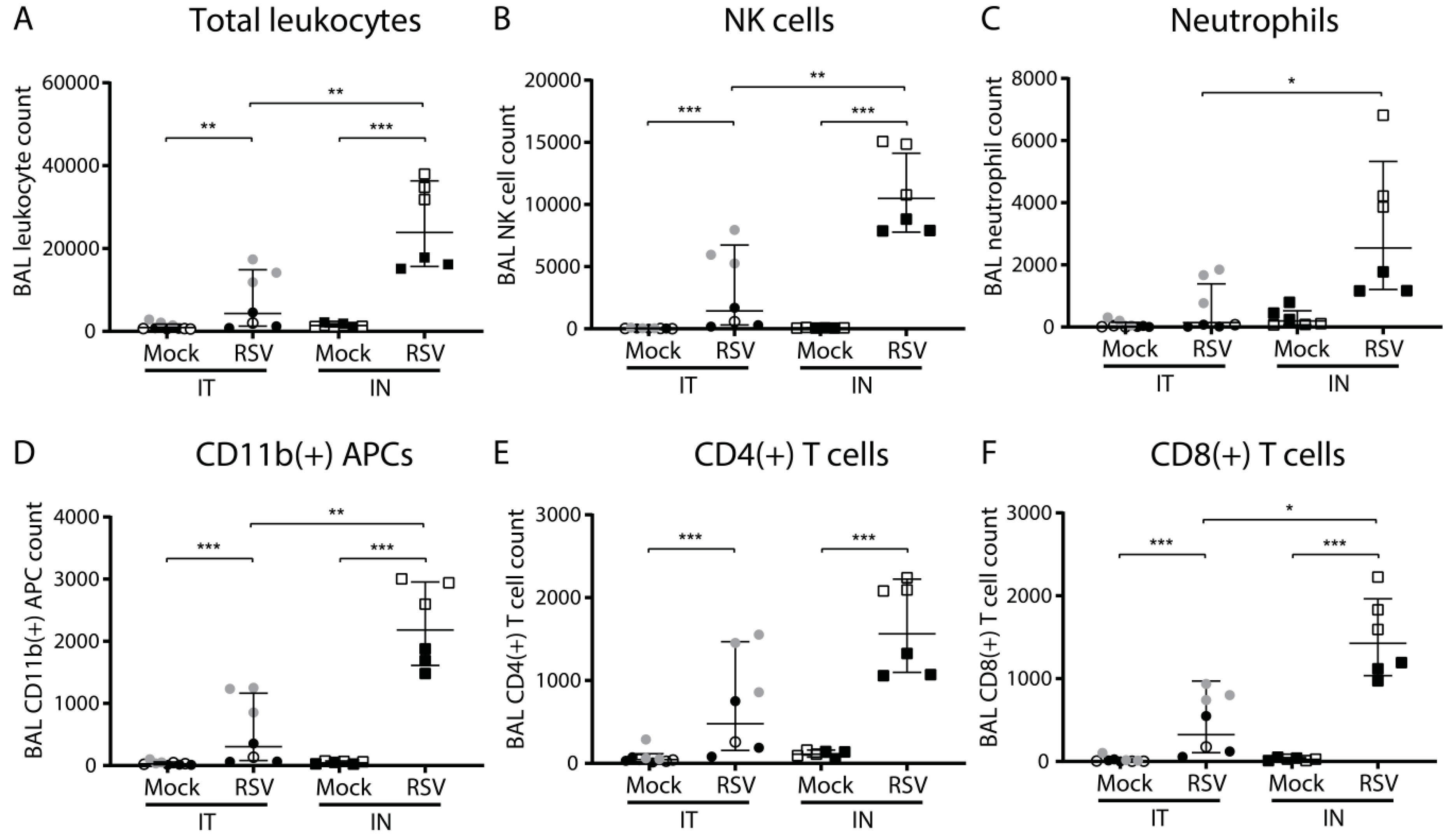 Viruses 11 00508 g002 Viruses 11 00508 g002