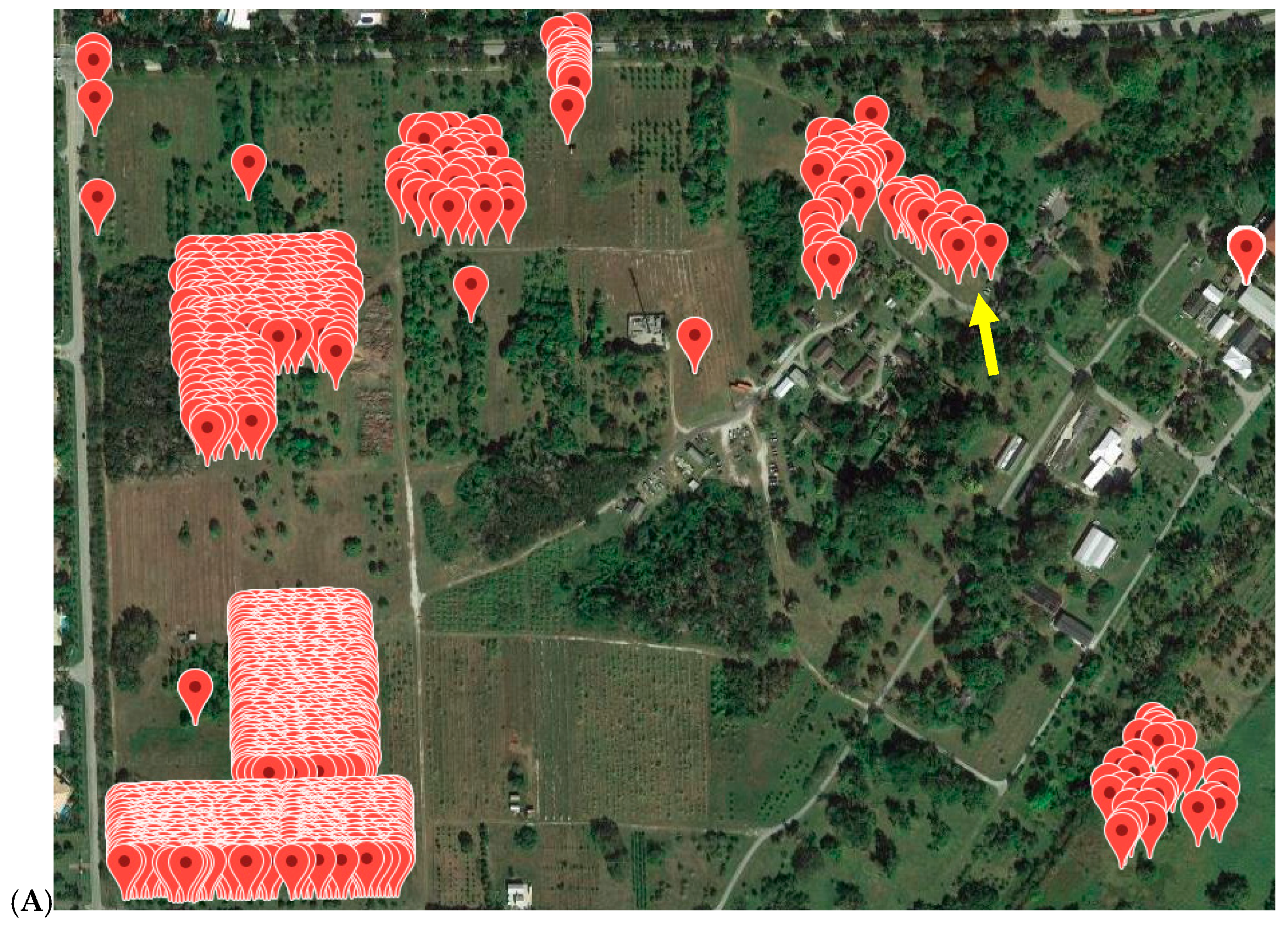 Viruses 11 00512 g002a Viruses 11 00512 g002a