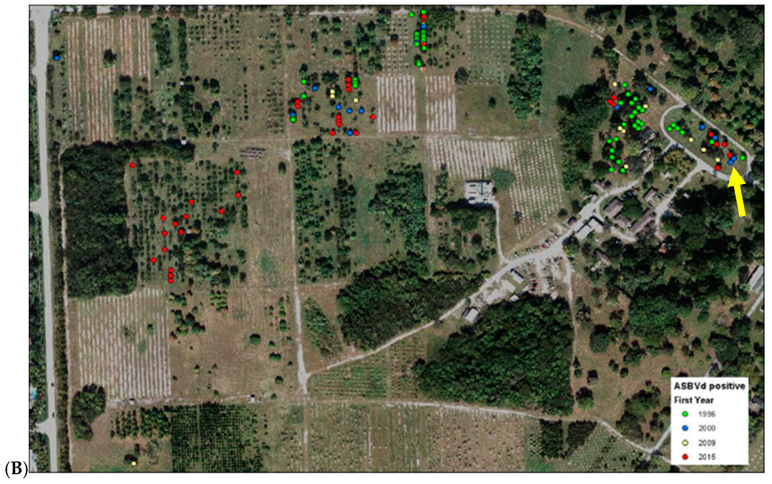 Viruses 11 00512 g002b Viruses 11 00512 g002b