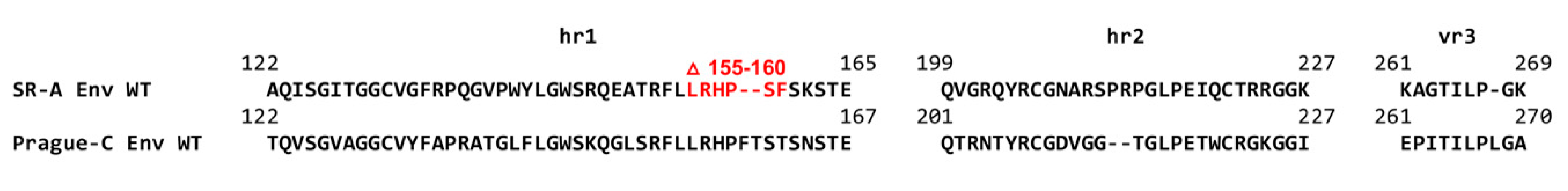 Viruses 11 00519 g001