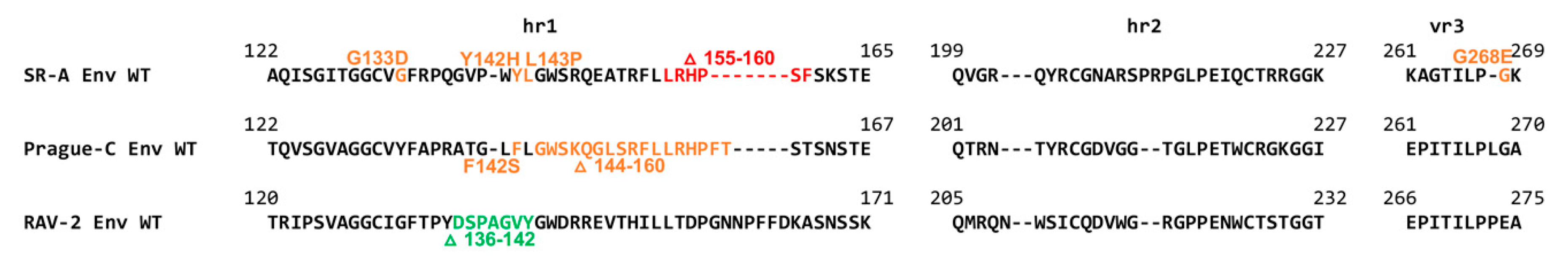 Viruses 11 00519 g007