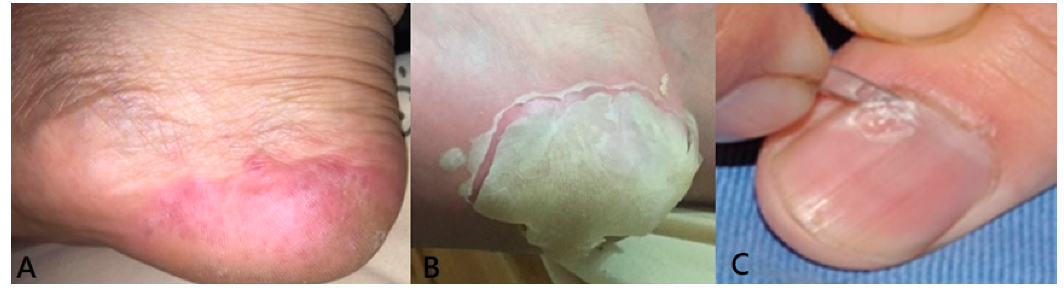 Viruses 11 00522 g002 Viruses 11 00522 g002