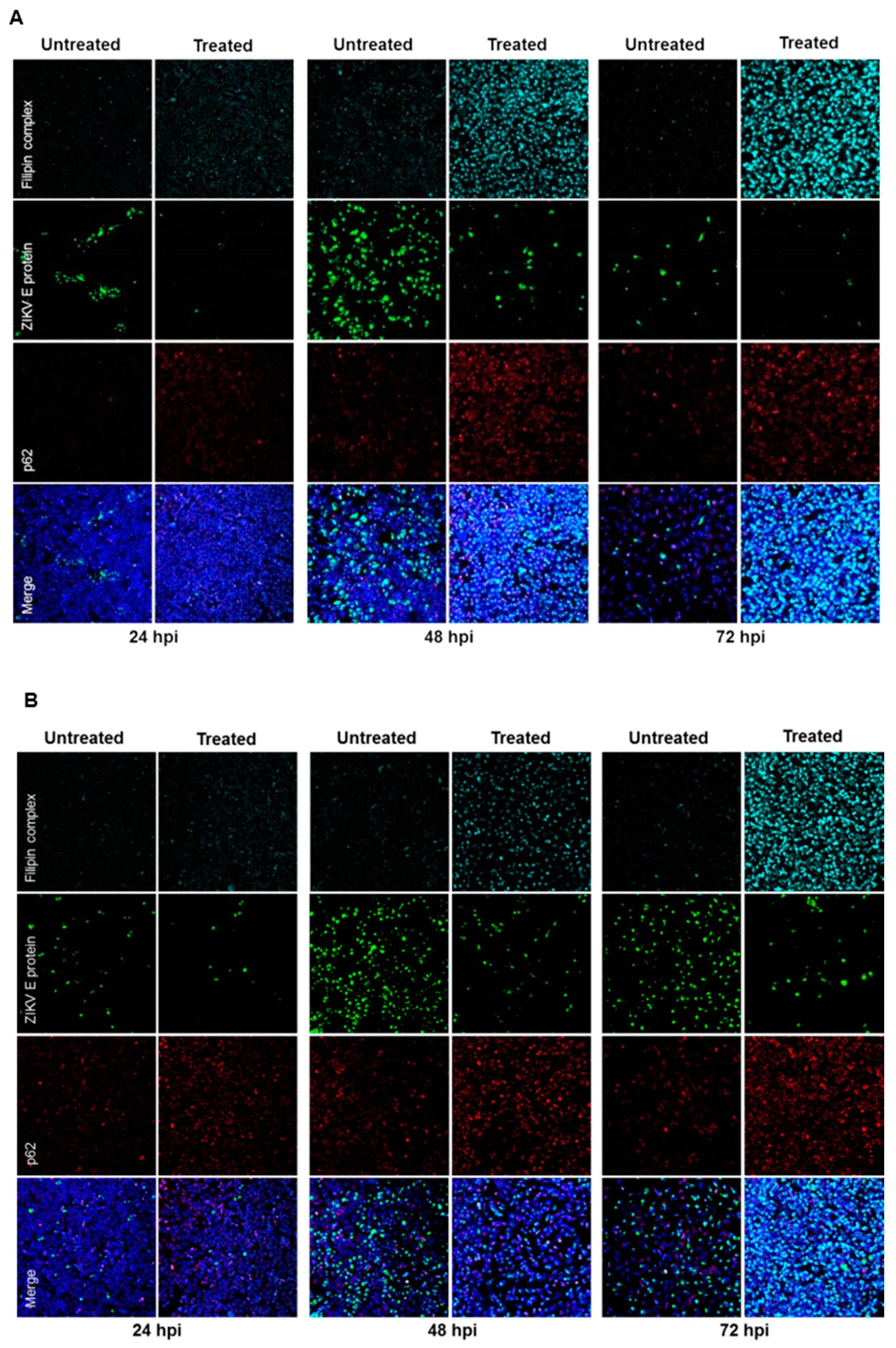 Viruses 11 00524 g007a