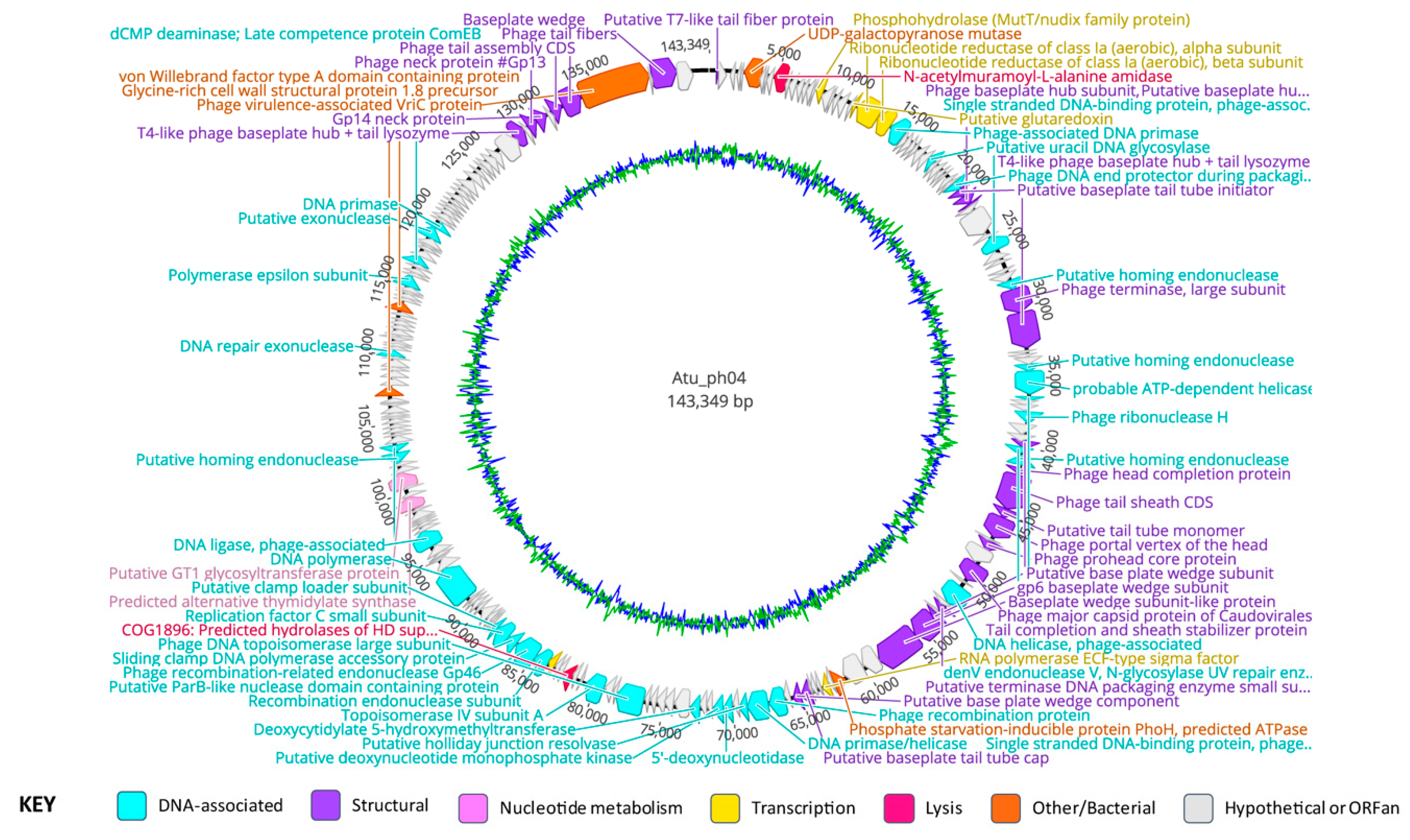 Viruses 11 00528 g002 Viruses 11 00528 g002