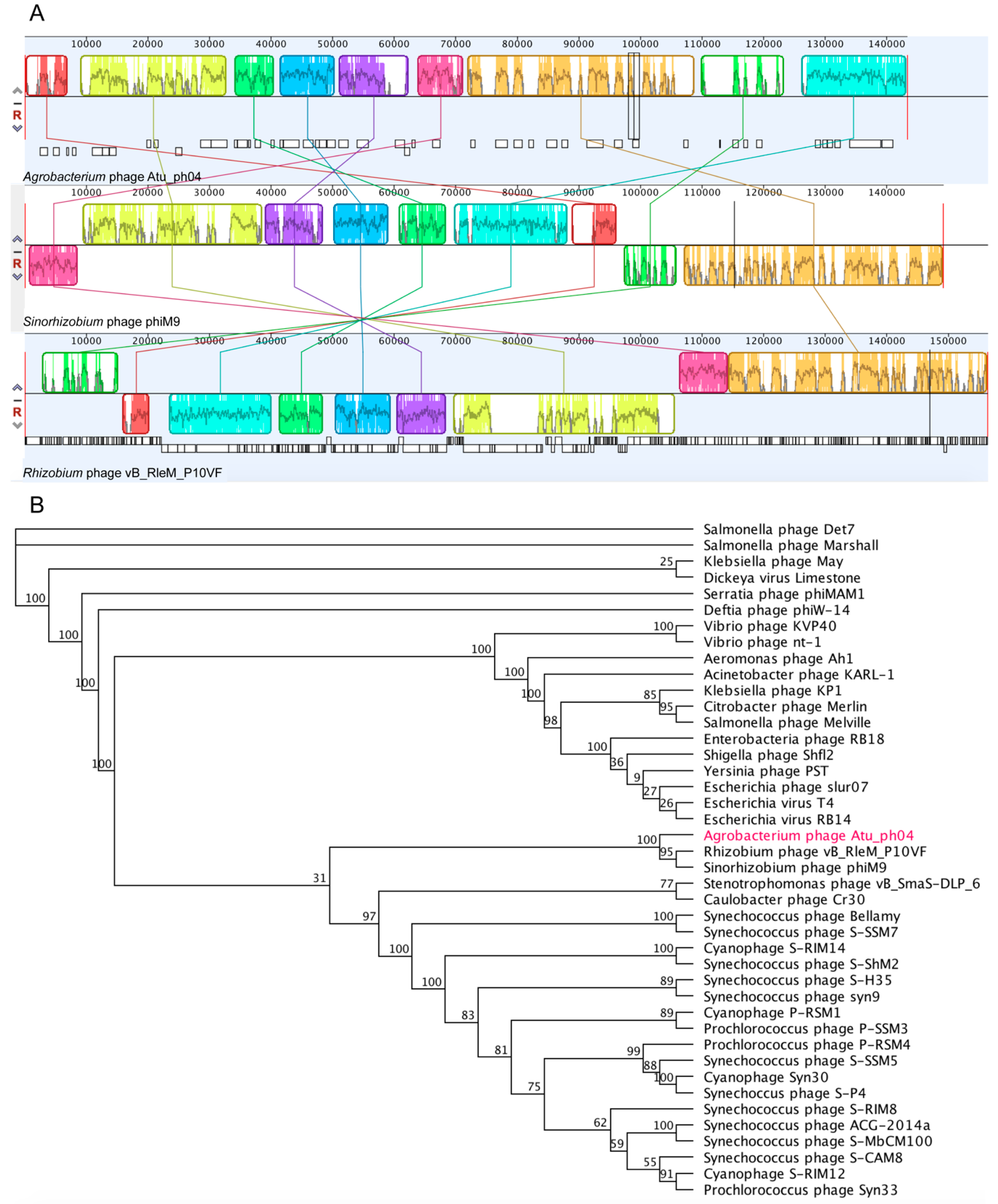 Viruses 11 00528 g003 Viruses 11 00528 g003