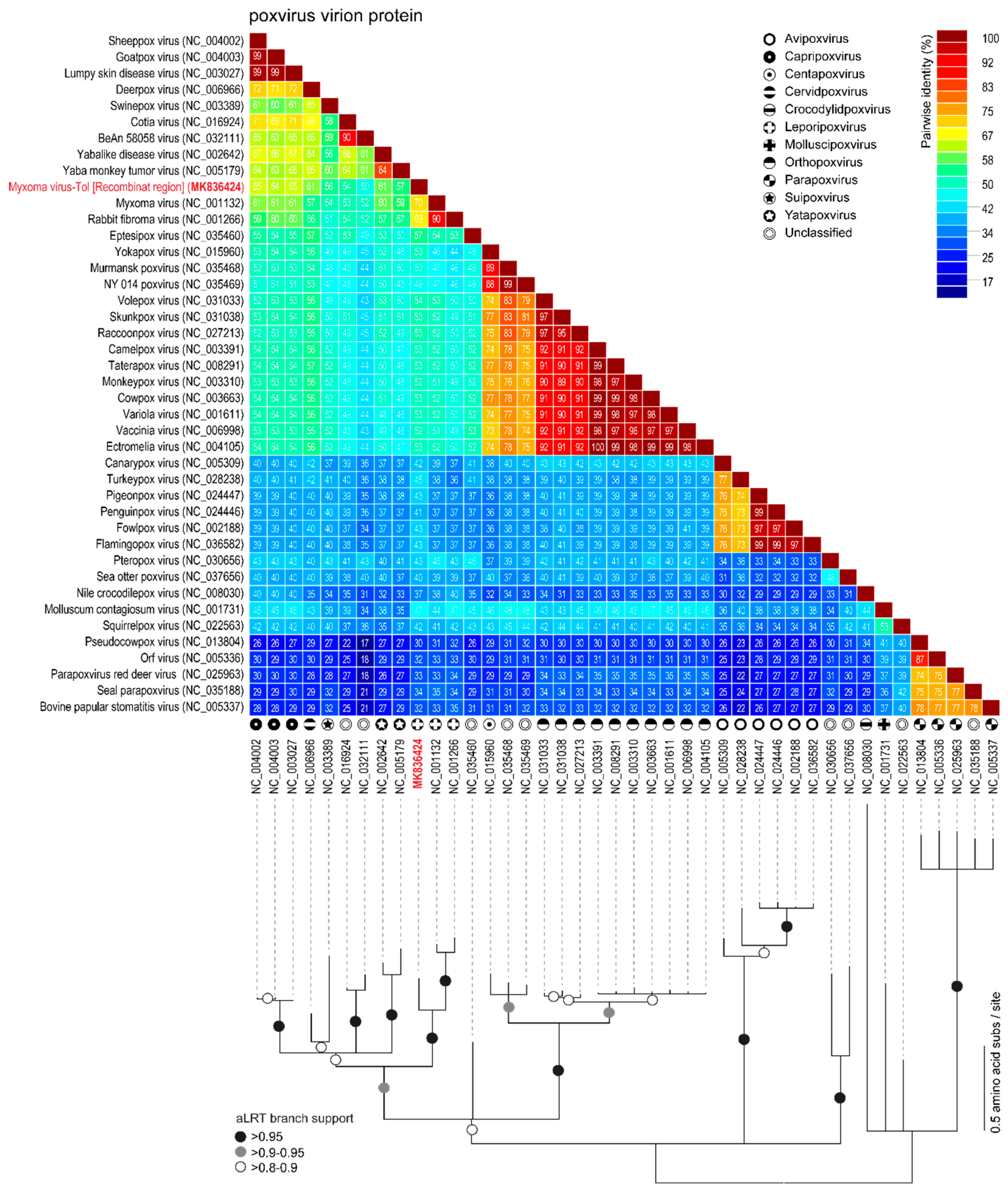 Viruses 11 00530 g005 Viruses 11 00530 g005