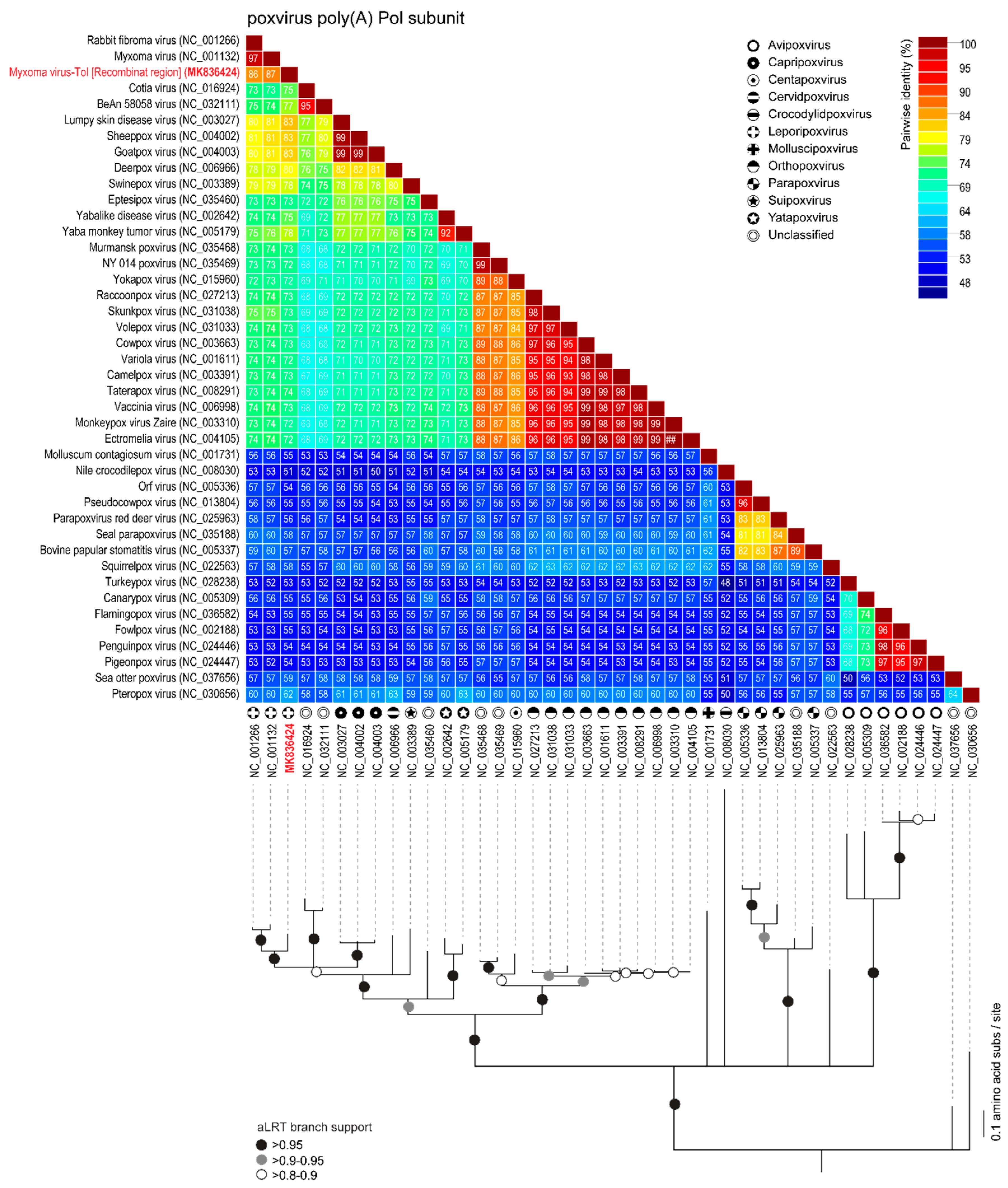 Viruses 11 00530 g008 Viruses 11 00530 g008