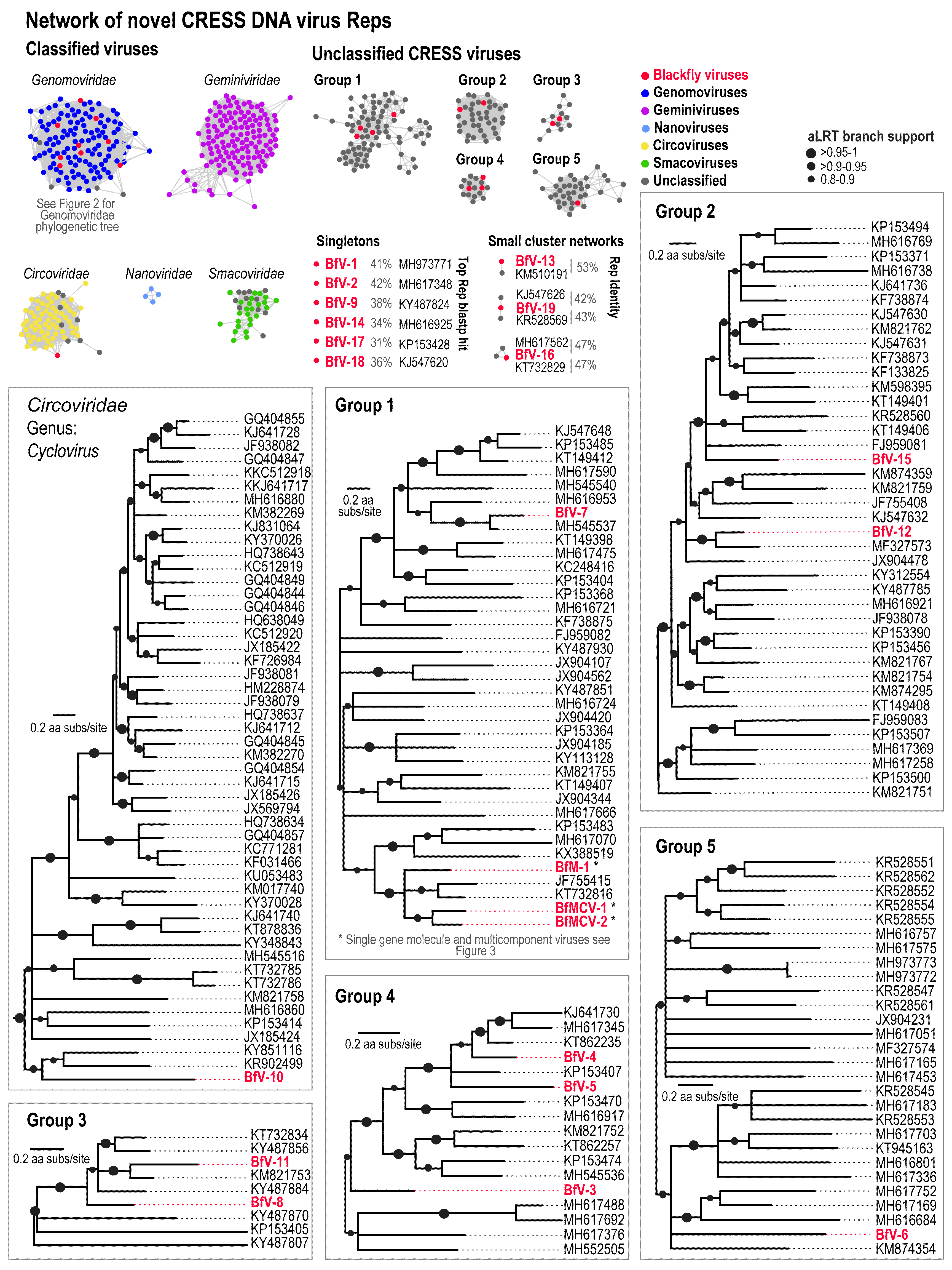 Viruses Free Full Text Unravelling The Single Stranded Dna Virome Of The New Zealand Blackfly Html Viruses Free Full Text Unravelling The Single Stranded Dna Virome Of The New Zealand Blackfly Html