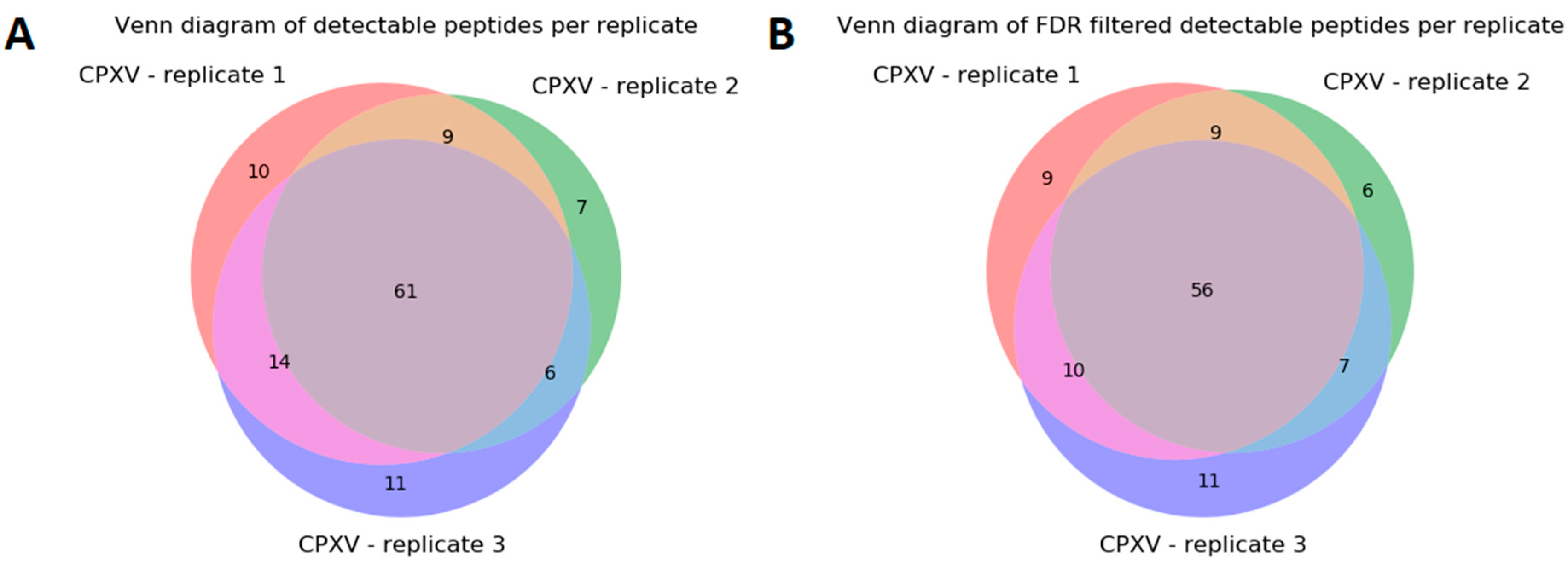 Viruses 11 00536 g007