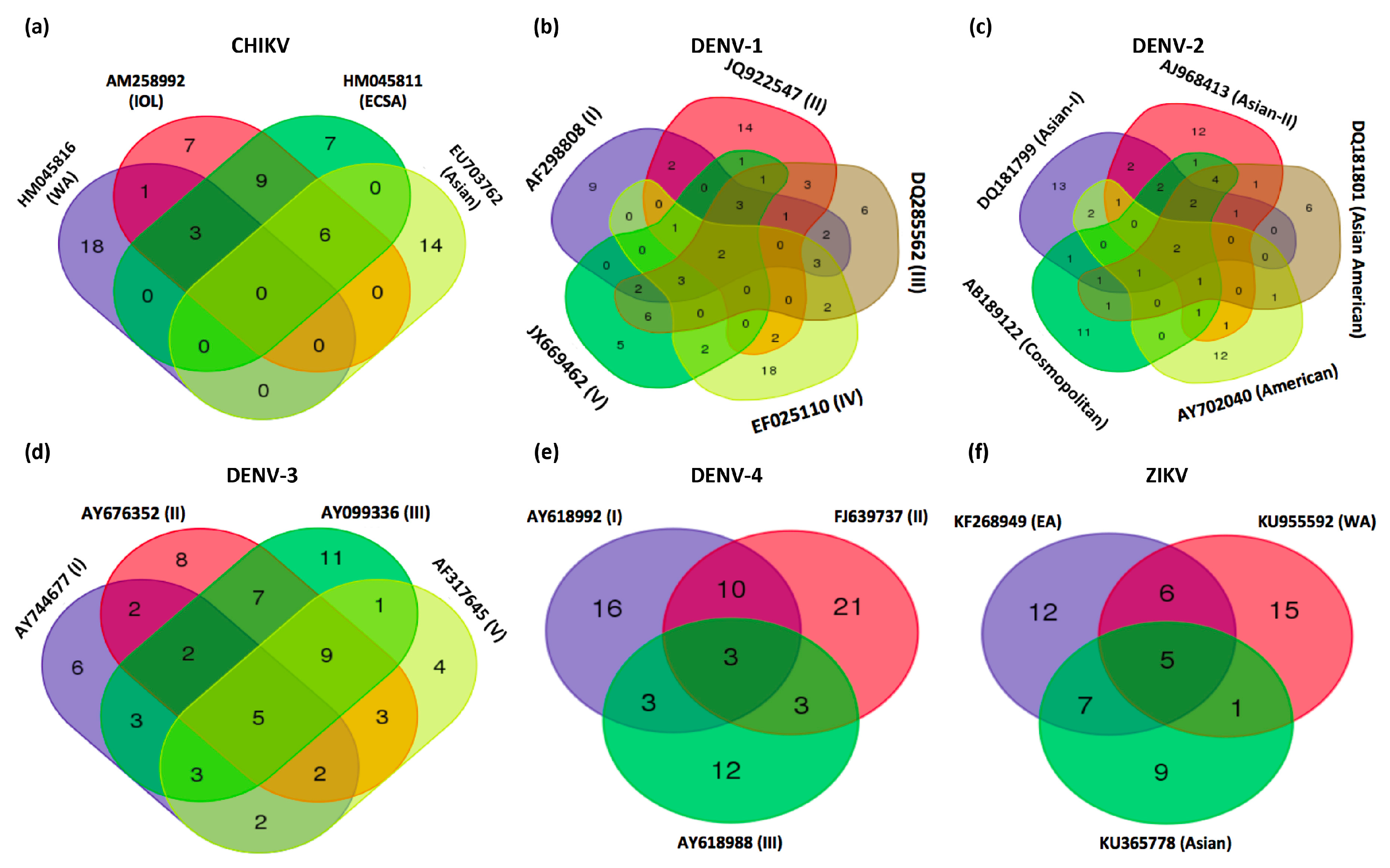 Viruses 11 00540 g002