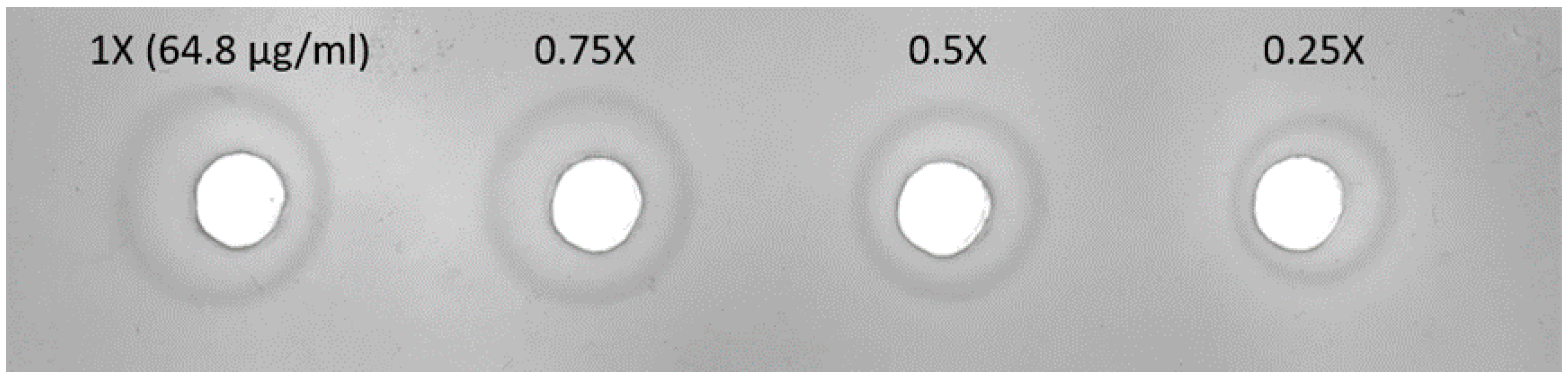 Viruses 11 00543 g001