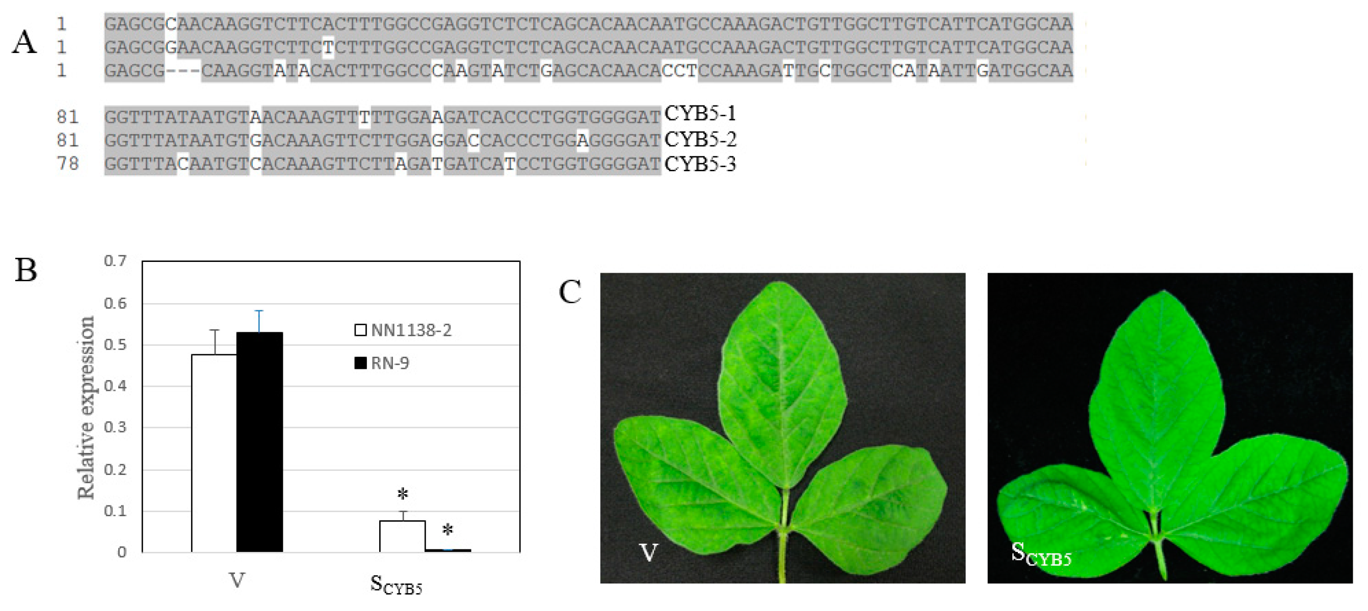 Viruses 11 00546 g004 Viruses 11 00546 g004