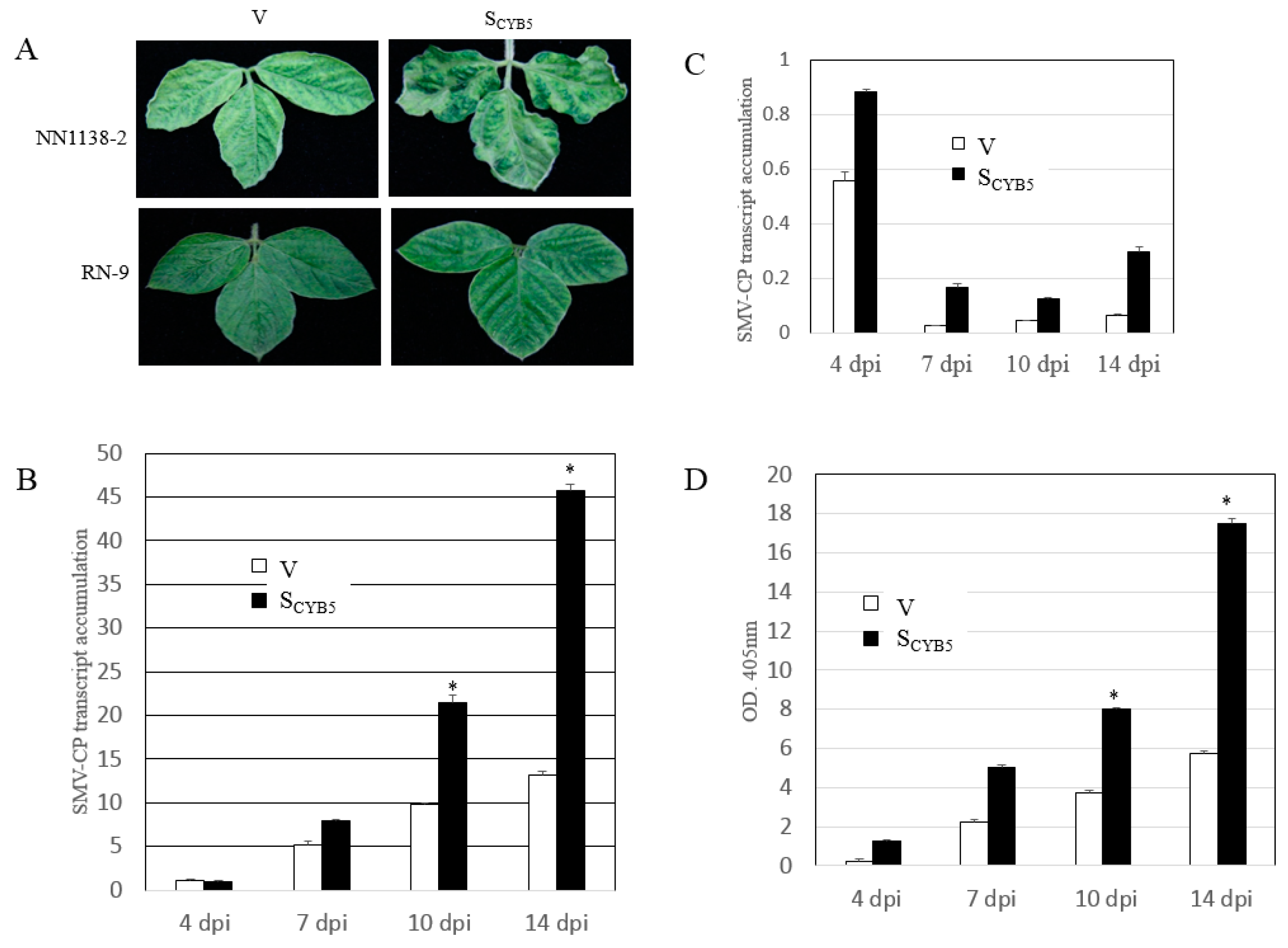 Viruses 11 00546 g005 Viruses 11 00546 g005