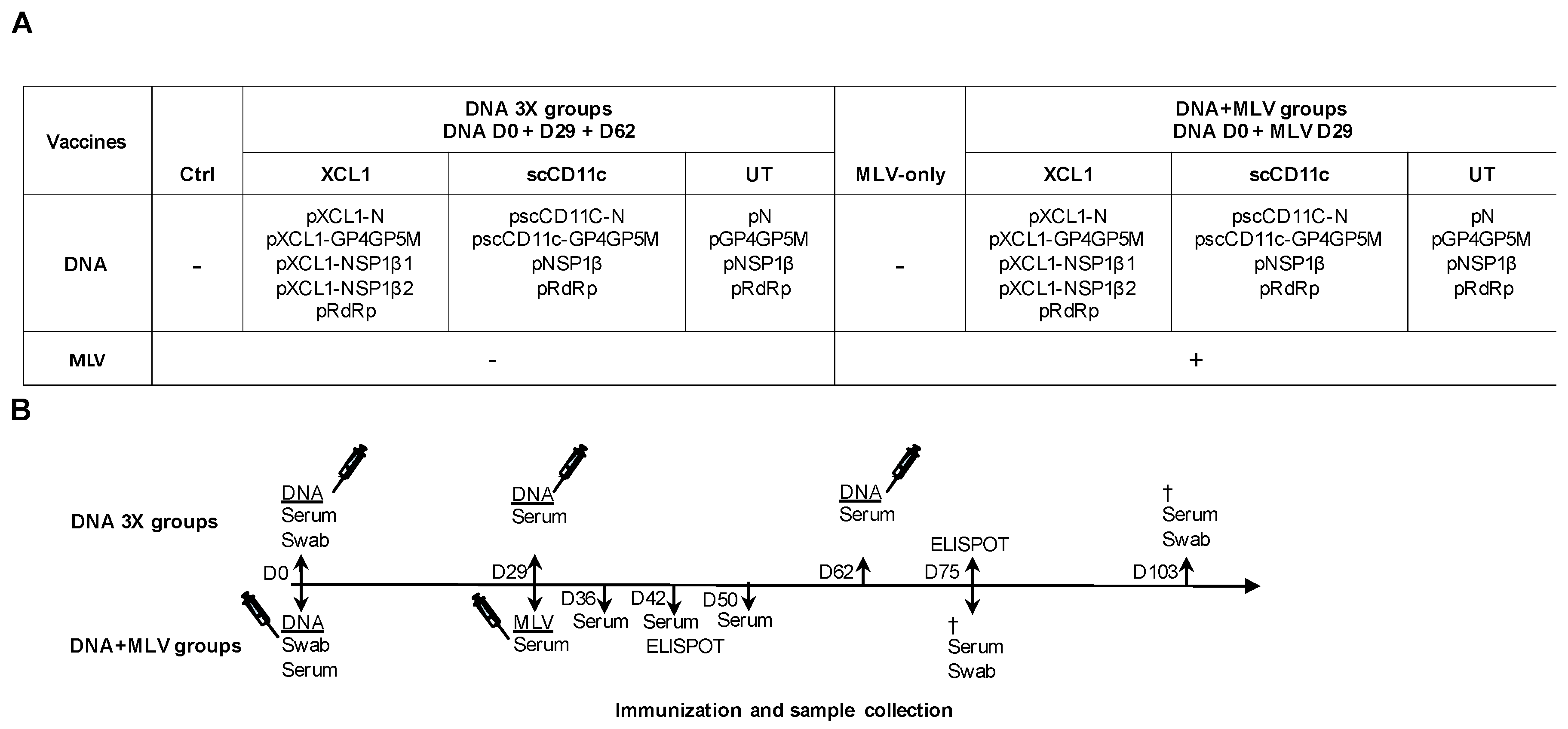 Viruses 11 00551 g002