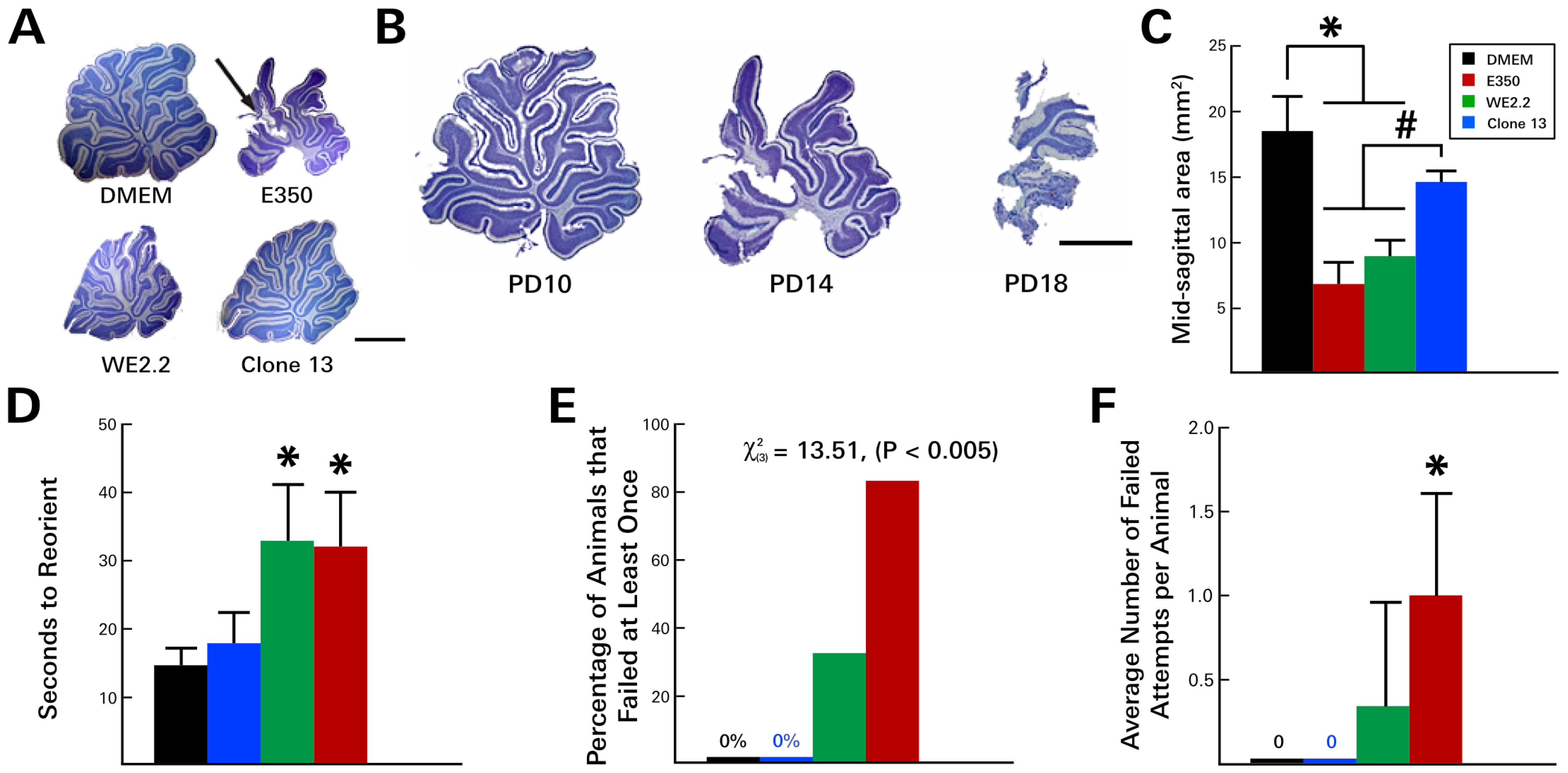 Viruses 11 00552 g003