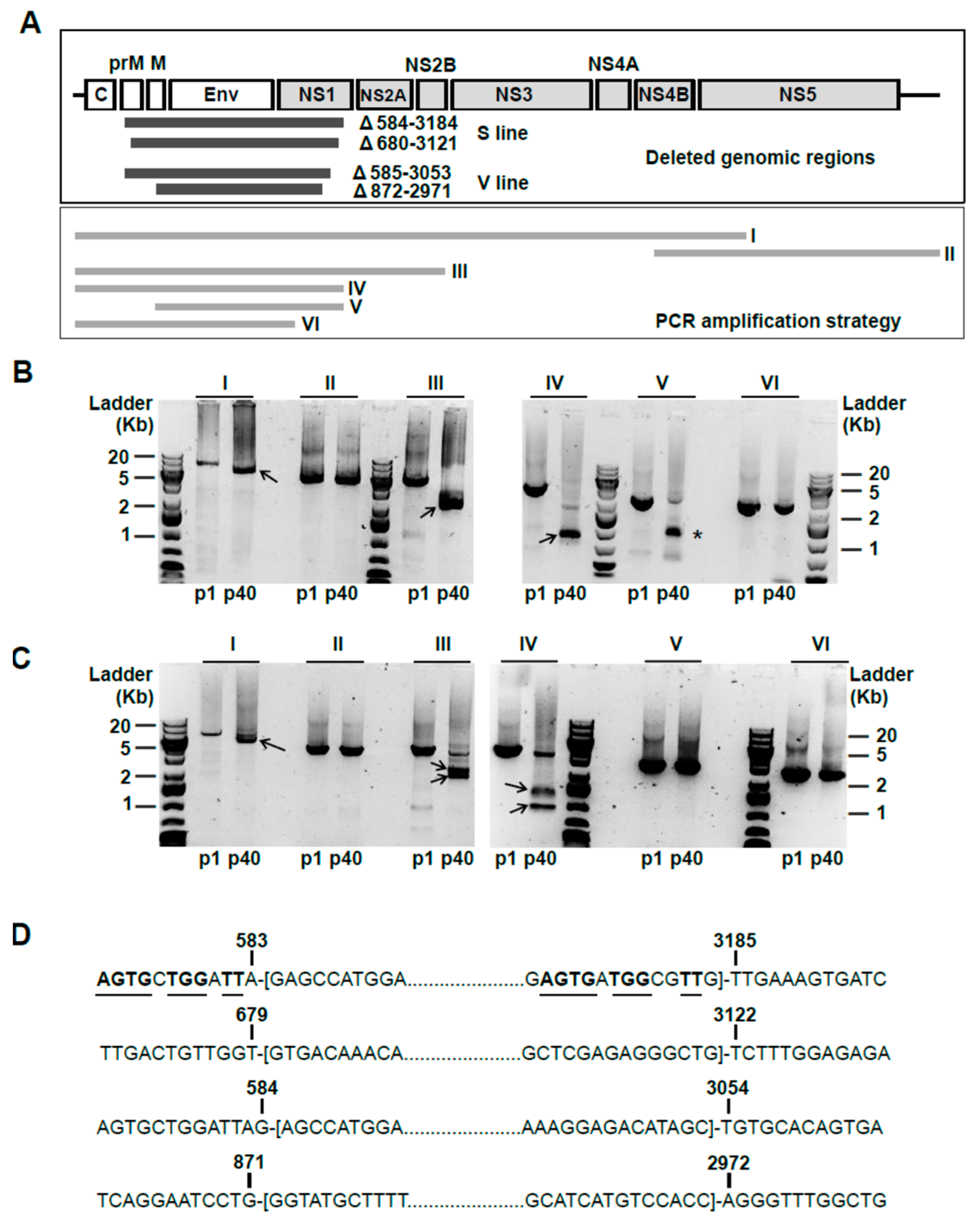 Viruses 11 00560 g002