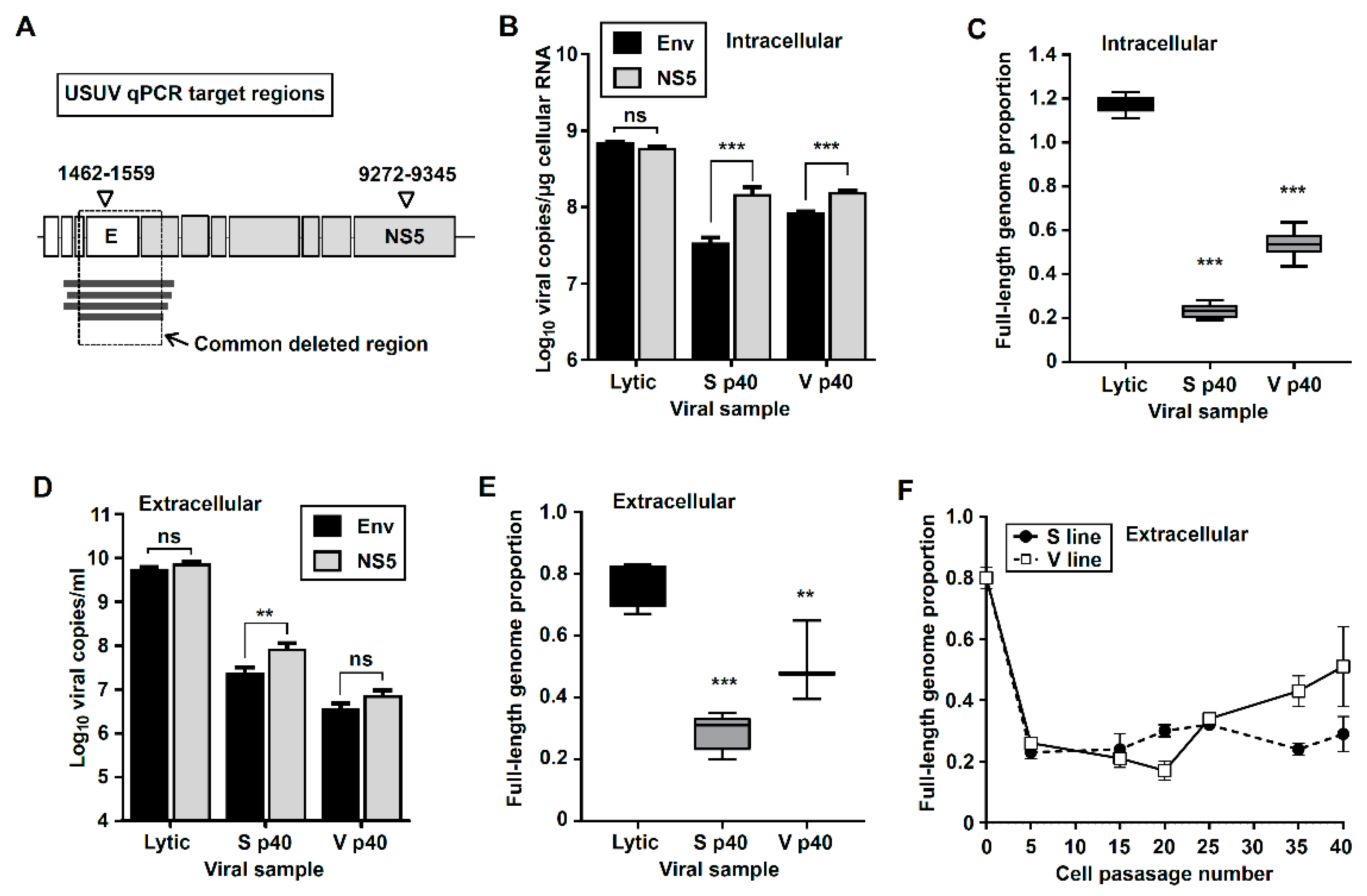Viruses 11 00560 g003