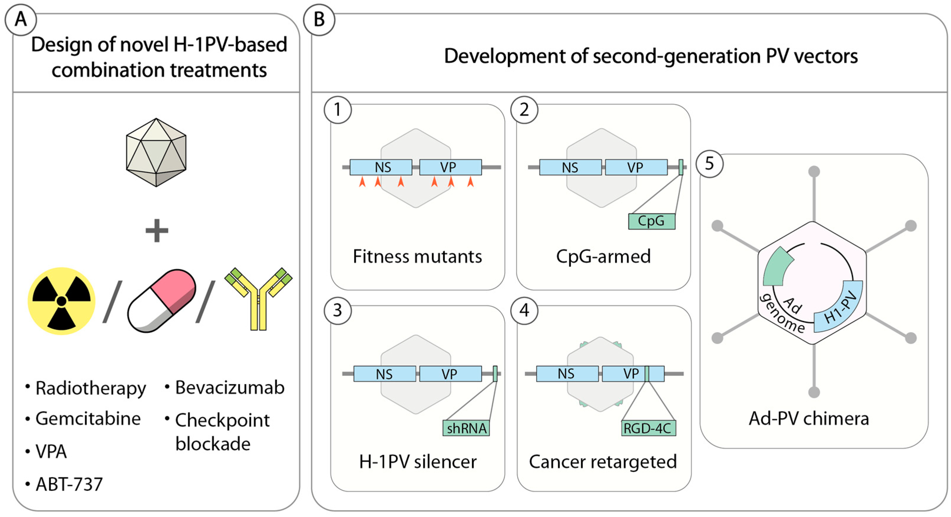 Viruses 11 00562 g003 Viruses 11 00562 g003