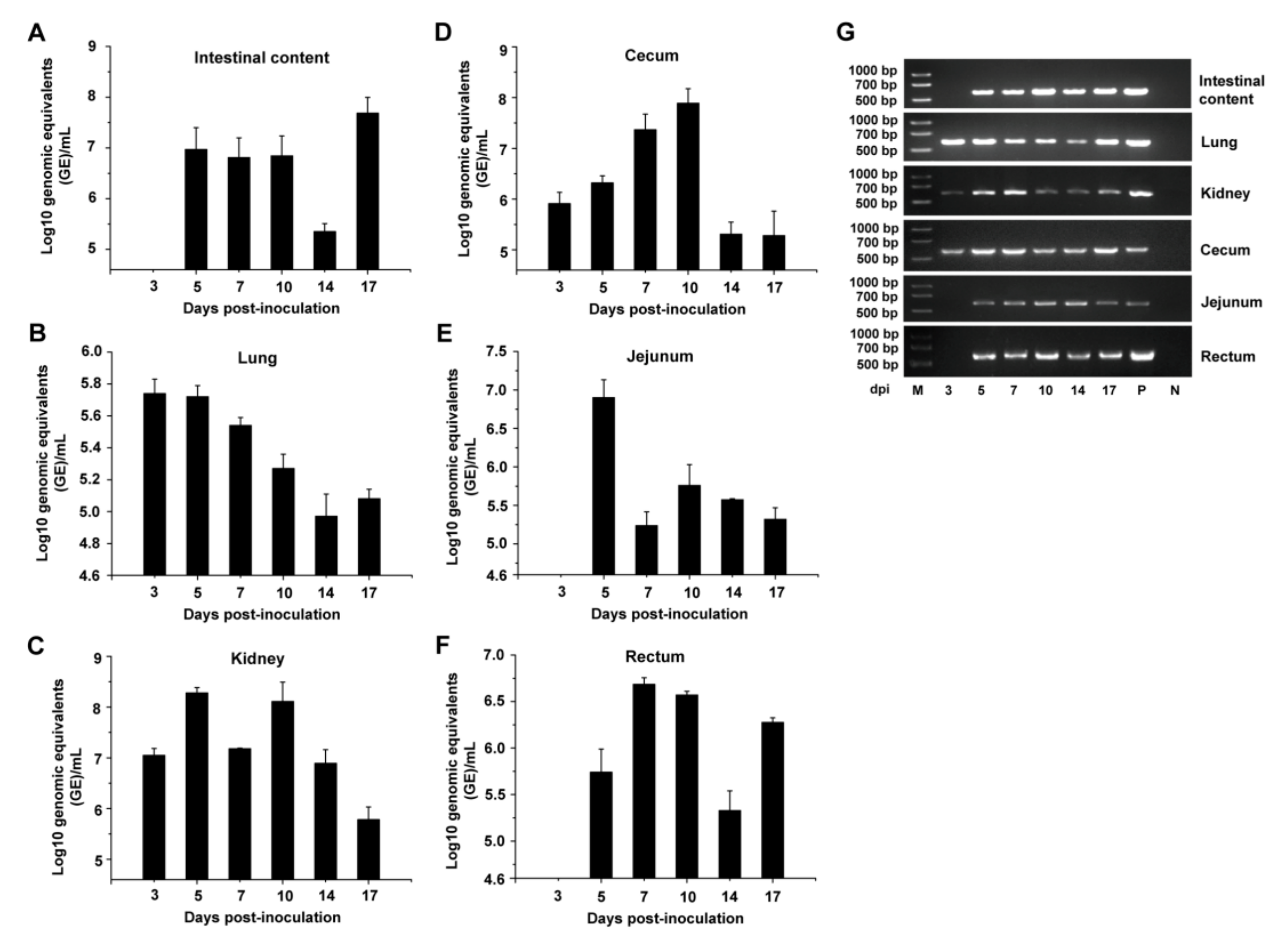 Viruses 11 00573 g003 Viruses 11 00573 g003