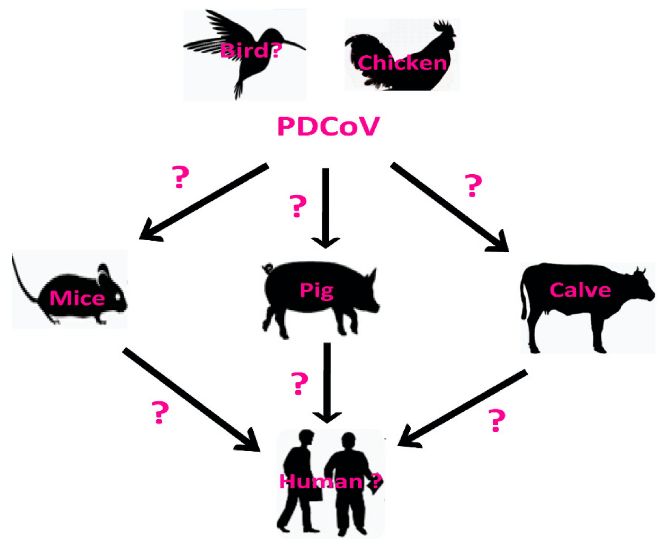 Viruses 11 00573 g007 Viruses 11 00573 g007