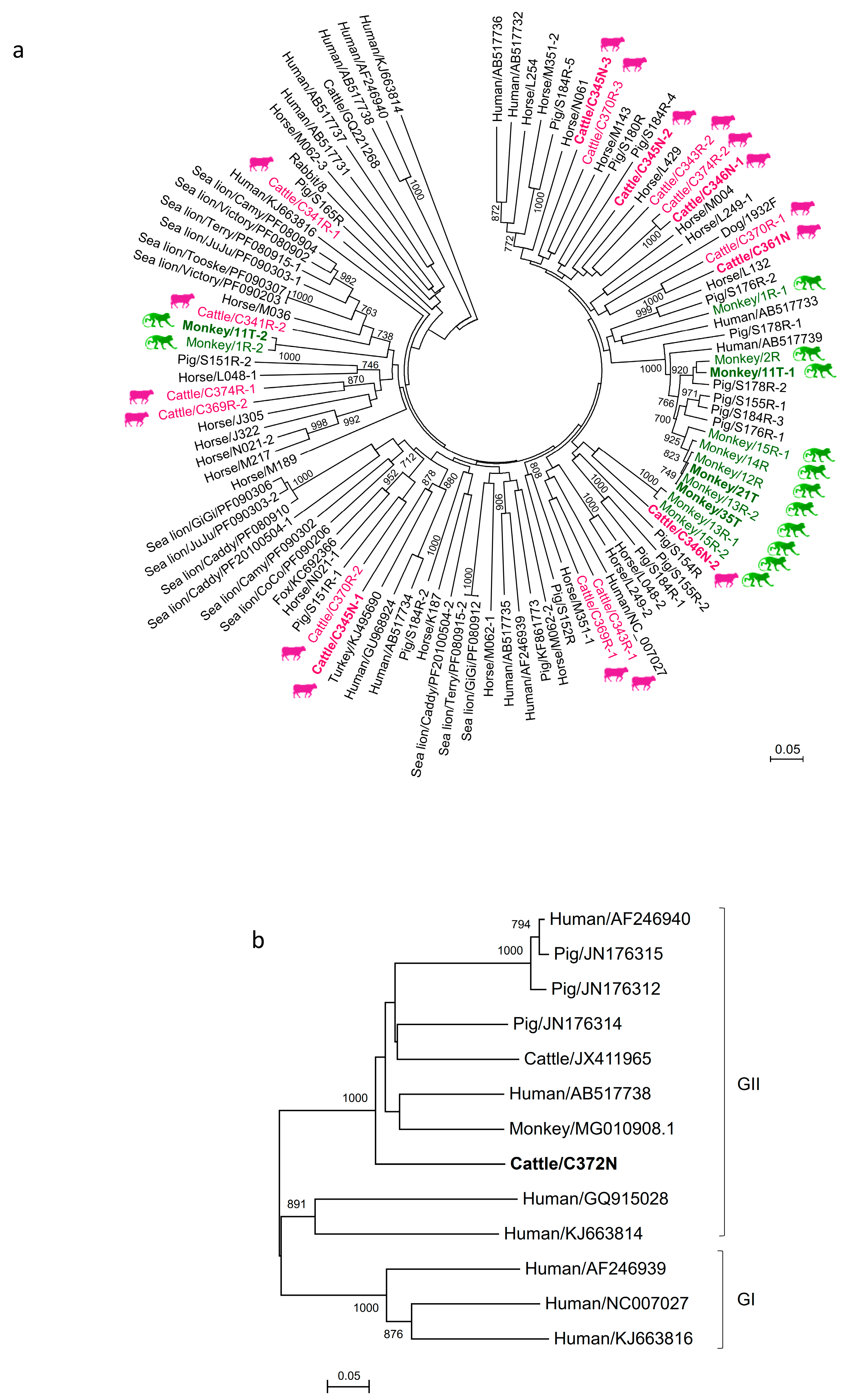Viruses 11 00574 g001