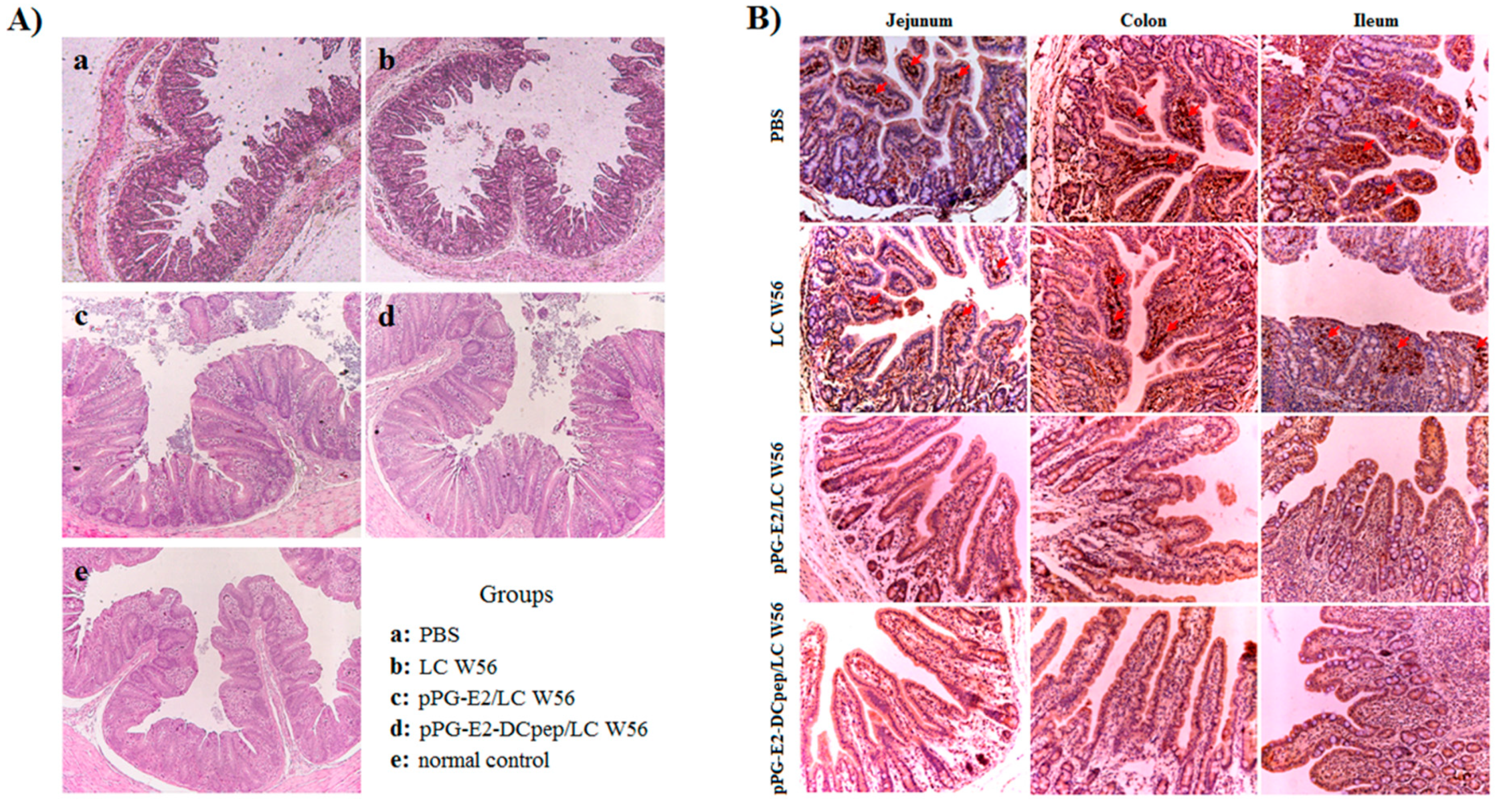 Viruses 11 00575 g009 Viruses 11 00575 g009