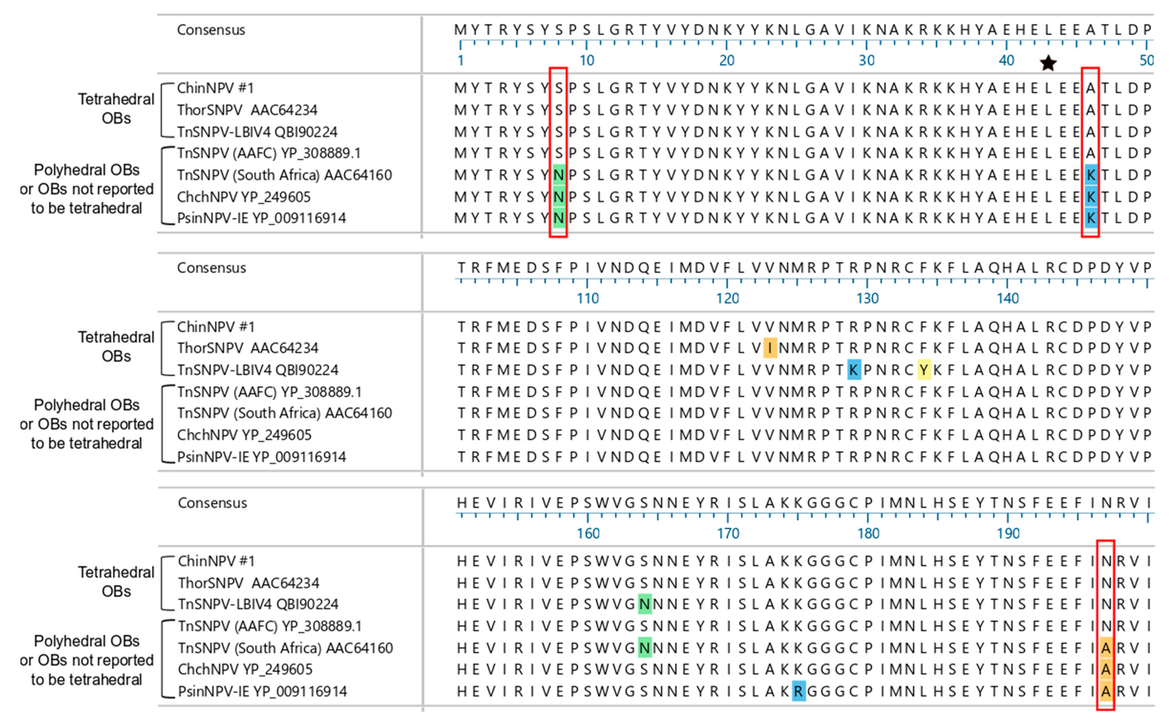 Viruses 11 00579 g005 Viruses 11 00579 g005
